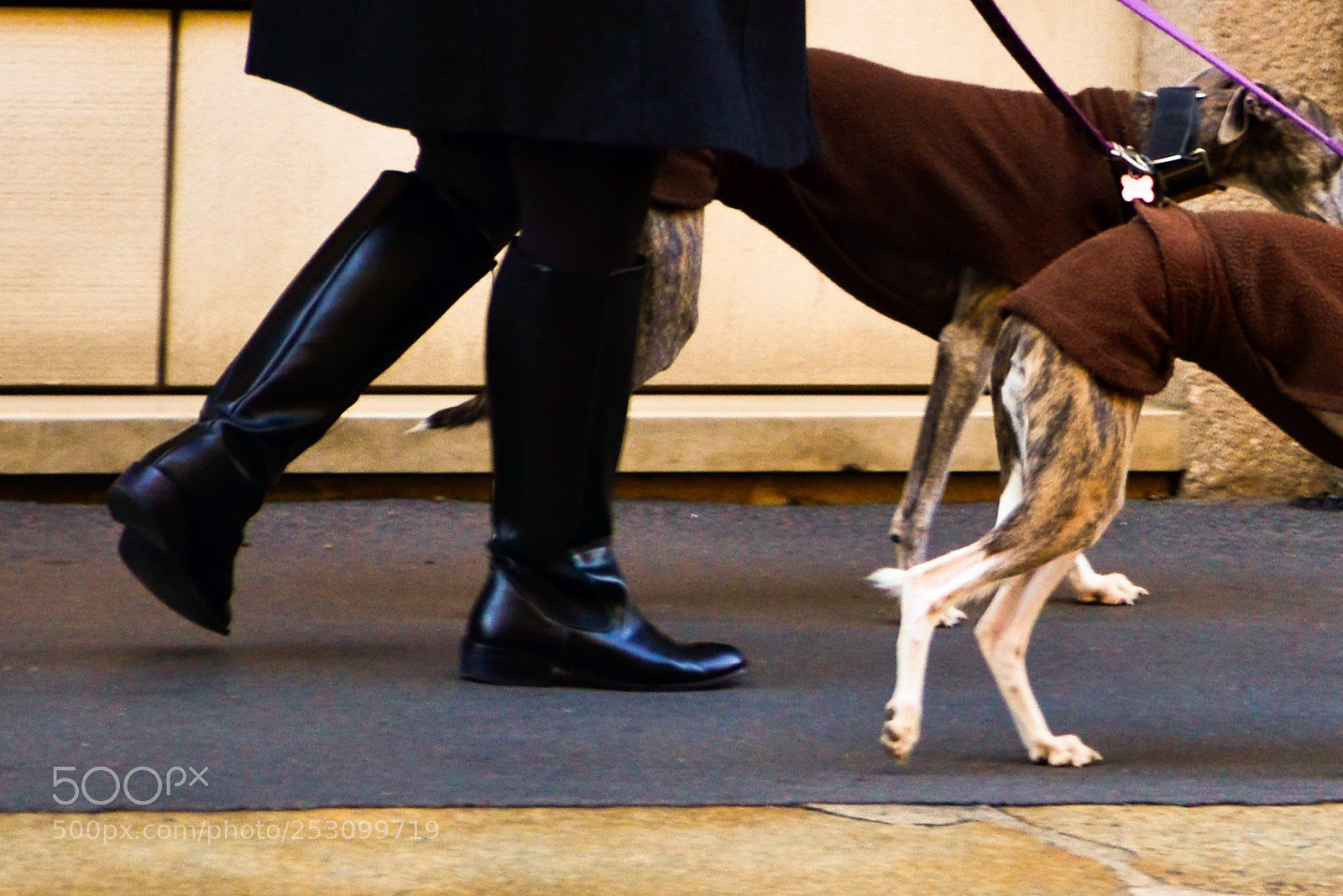 Nikon D7000 sample photo. Walking in milan photography