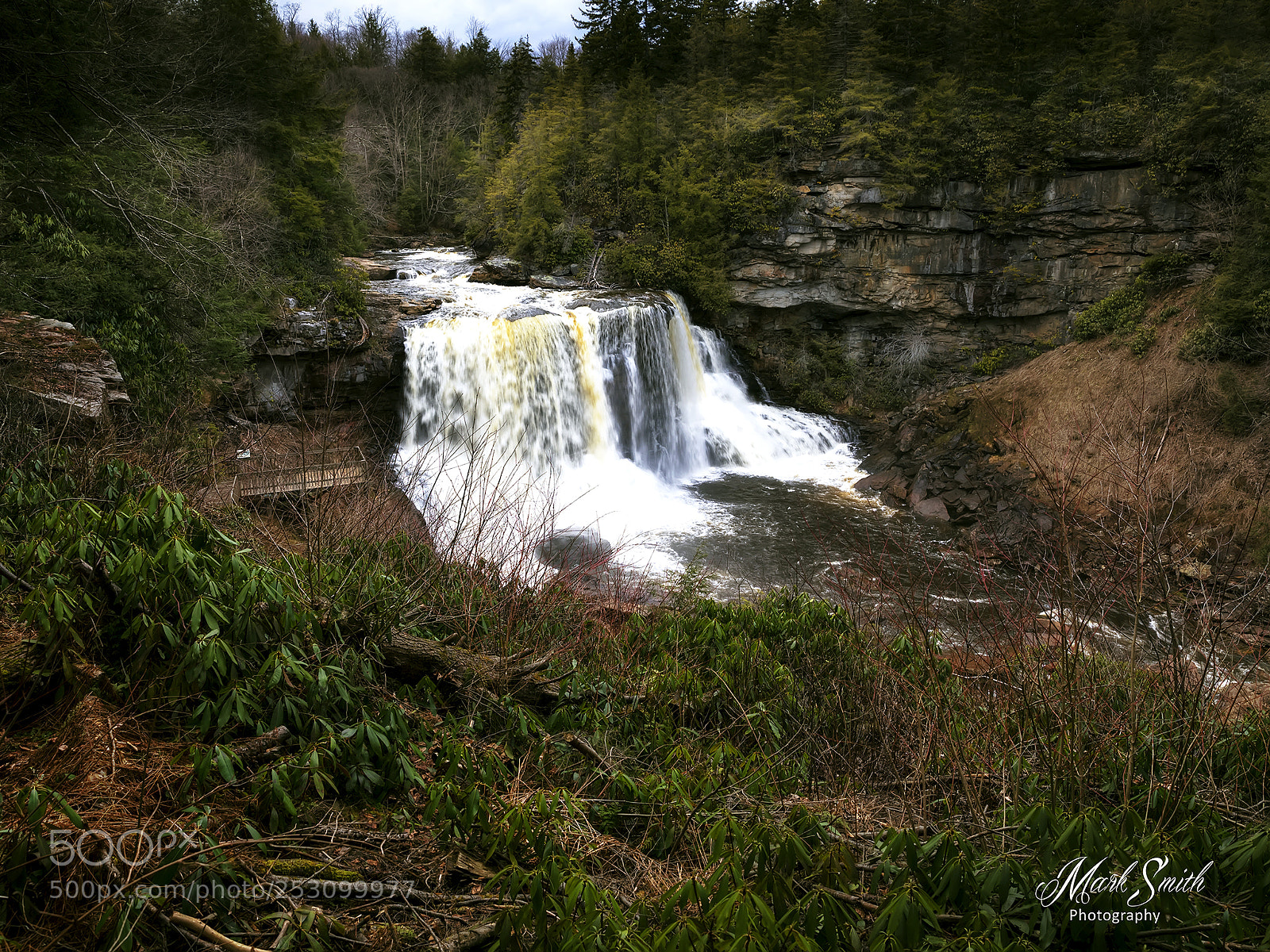Canon EOS 5D Mark IV sample photo. Blackwater falls photography