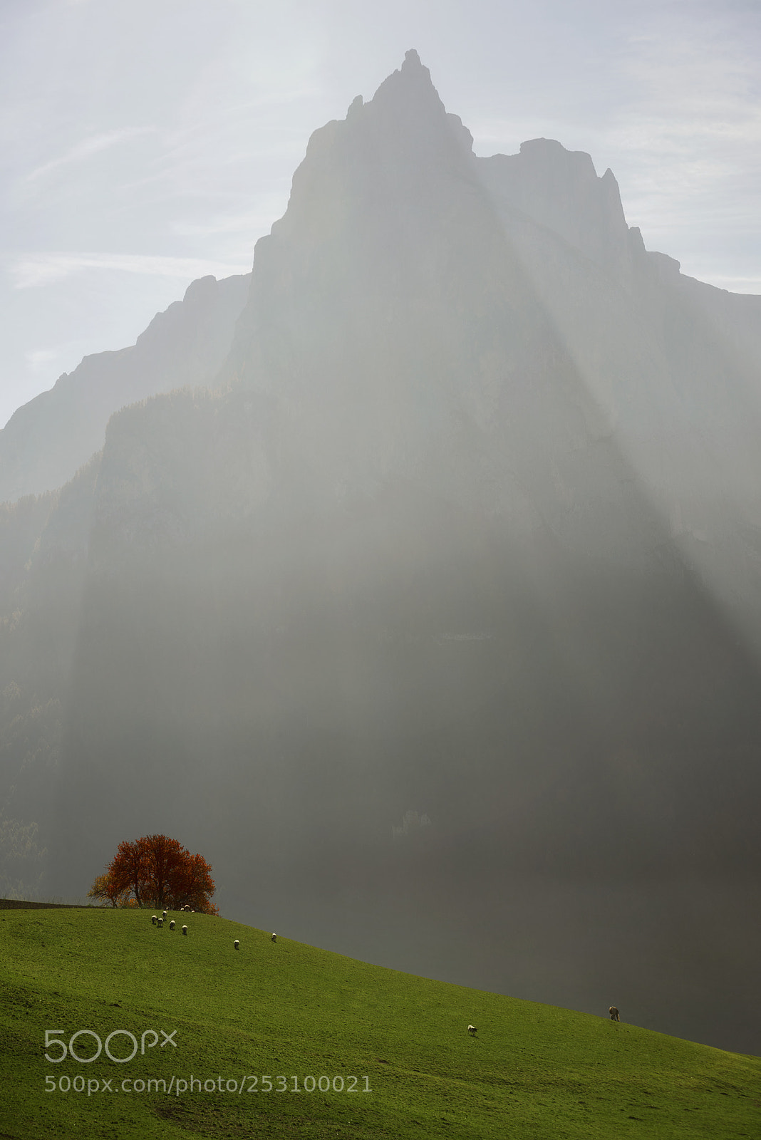 Nikon D810 sample photo. Fabulous dolomites photography