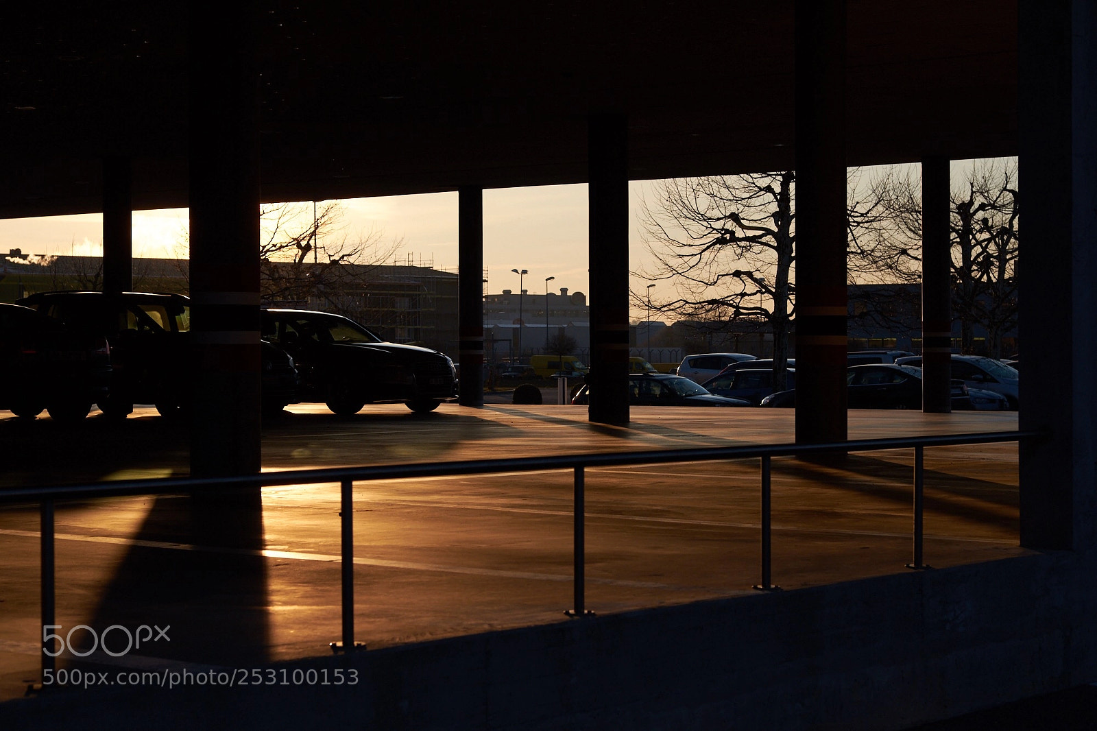 Fujifilm X-Pro2 sample photo. Sunshine  photography