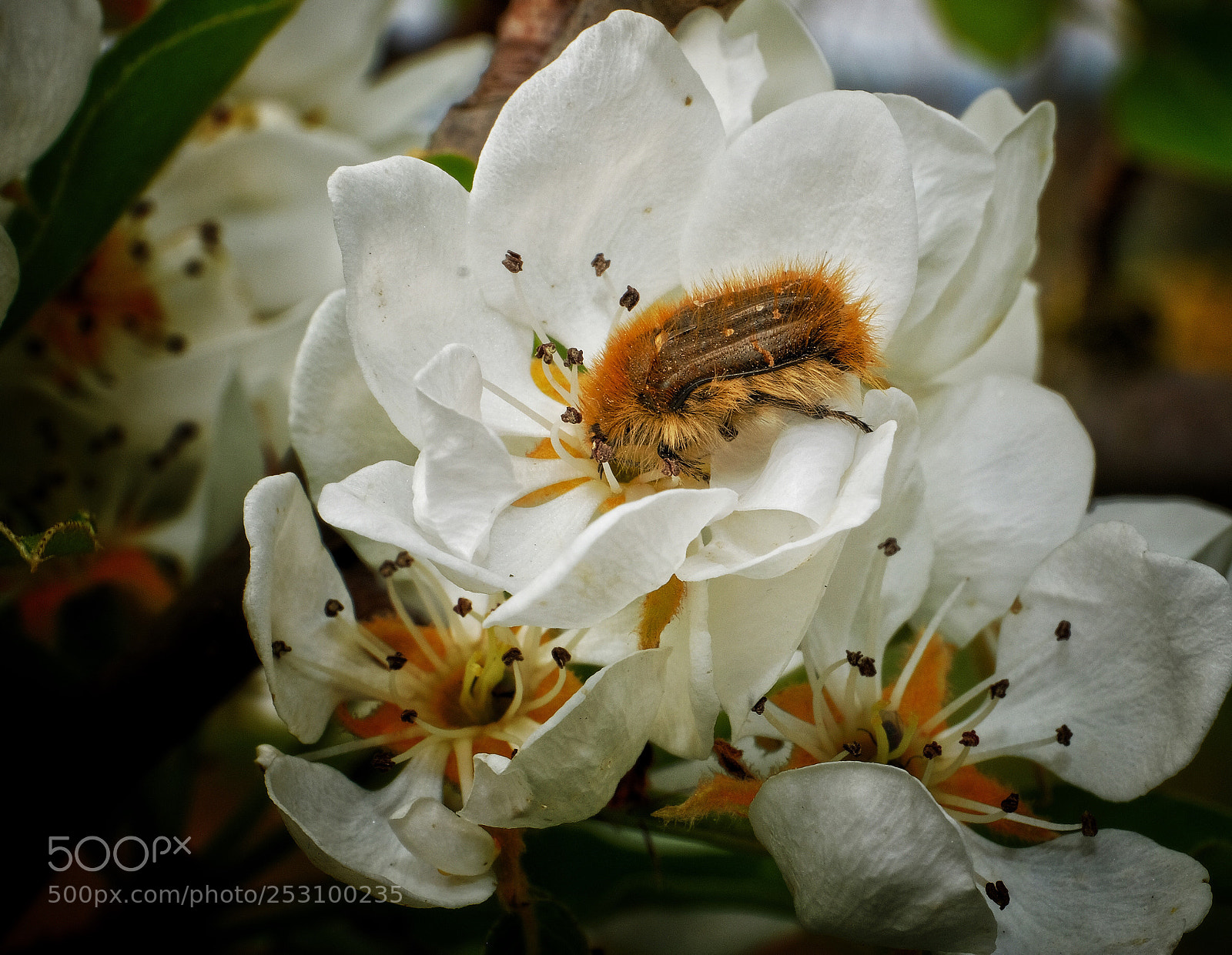 Fujifilm X-T2 sample photo. Untitled photography