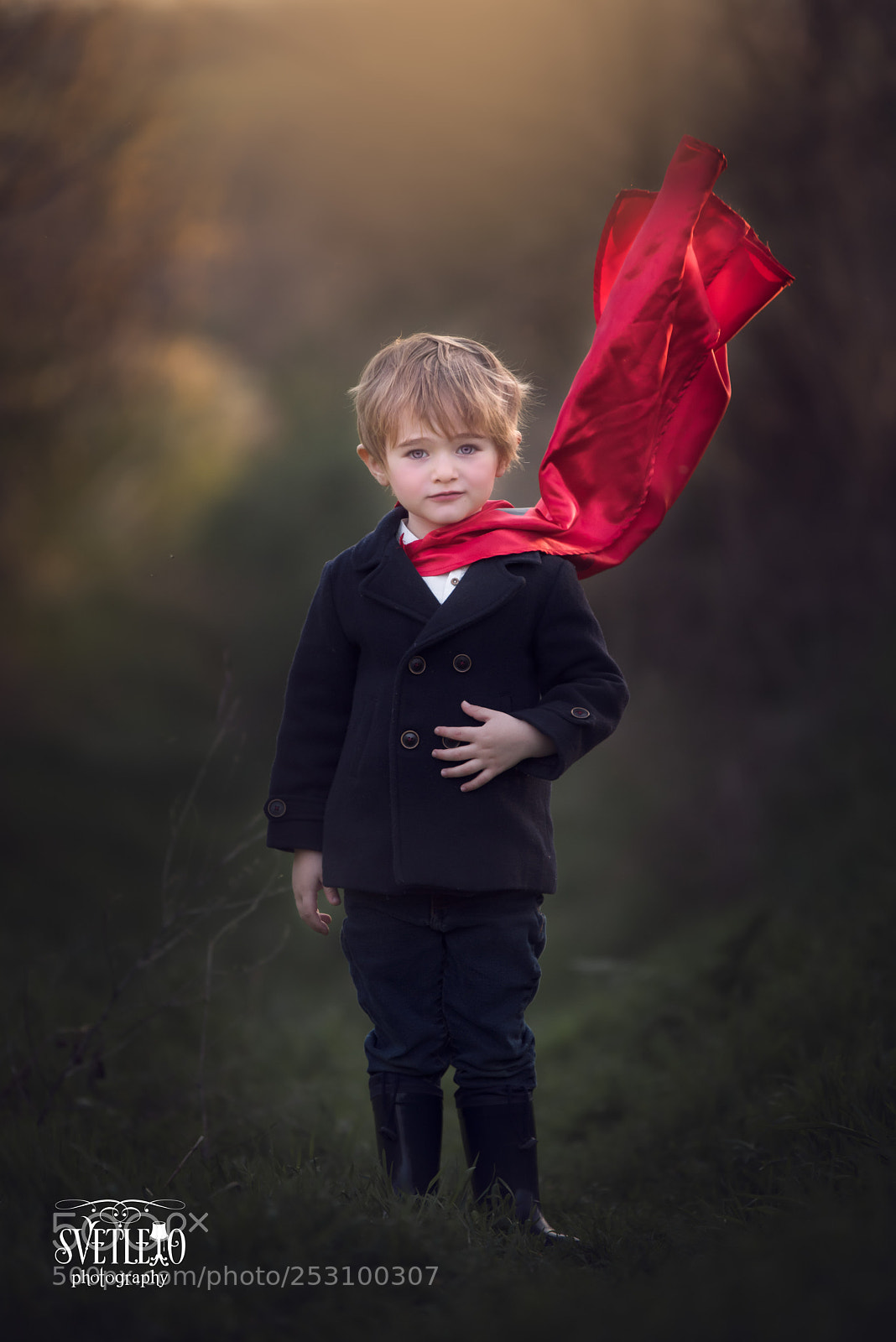 Nikon D810 sample photo. The little prince photography