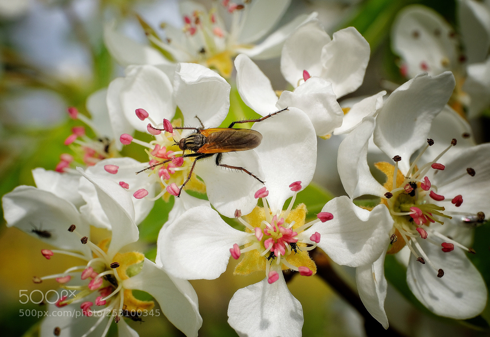 Fujifilm X-T2 sample photo. Untitled photography