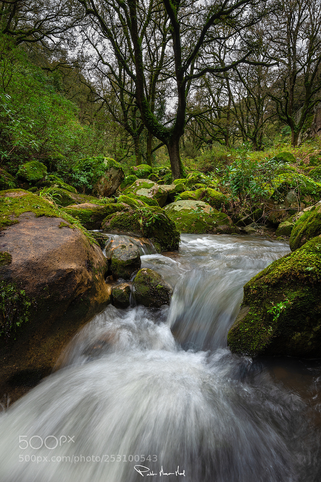 Nikon D810 sample photo. In the depths of photography