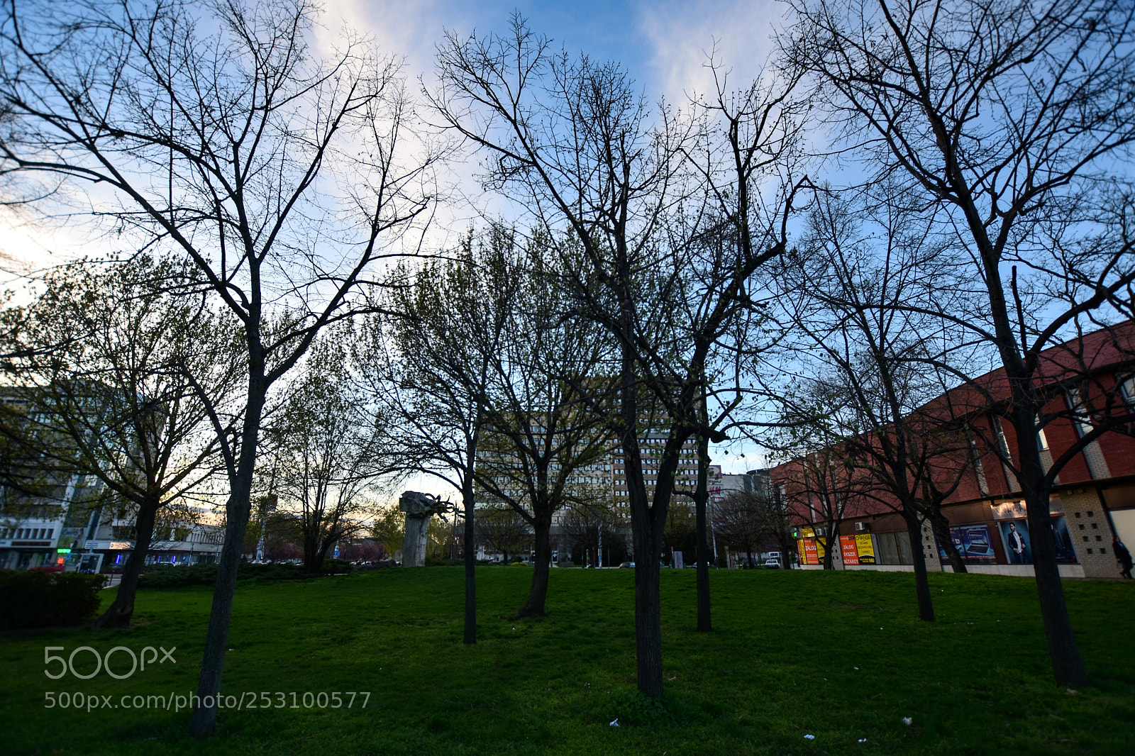 Nikon D7200 sample photo. Untitled photography