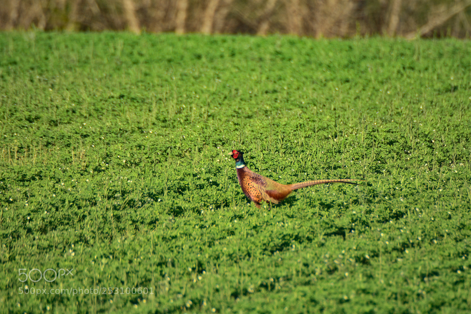 Nikon D7200 sample photo. Untitled photography