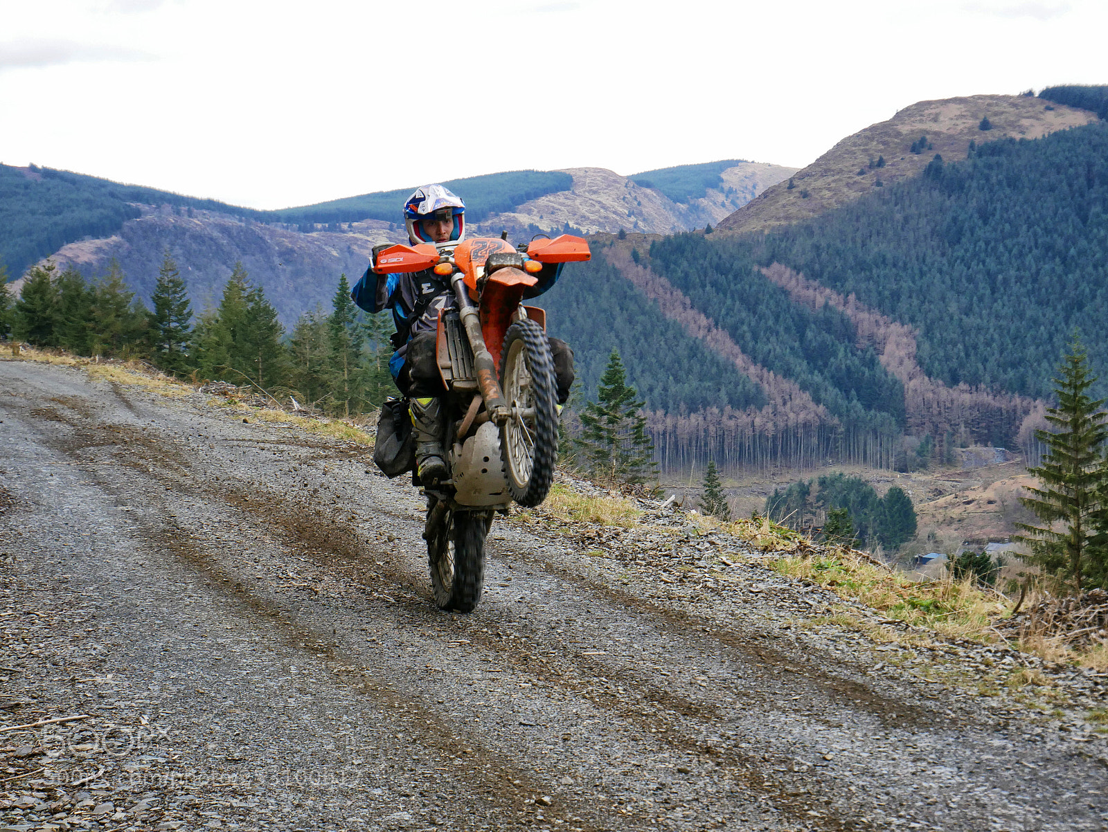 Panasonic Lumix DMC-G85 (Lumix DMC-G80) sample photo. Pxpete wheelie wednesday photography