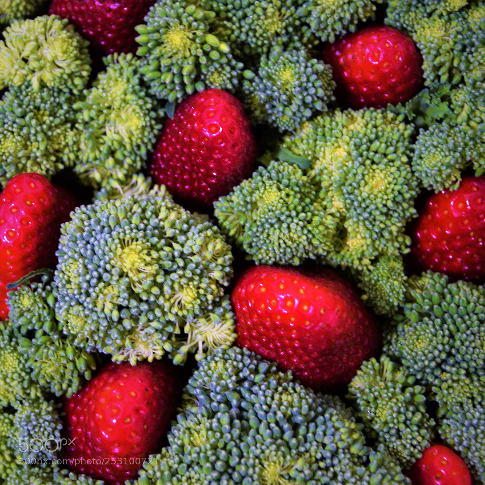 Nikon D3300 sample photo. In green vegetable photography