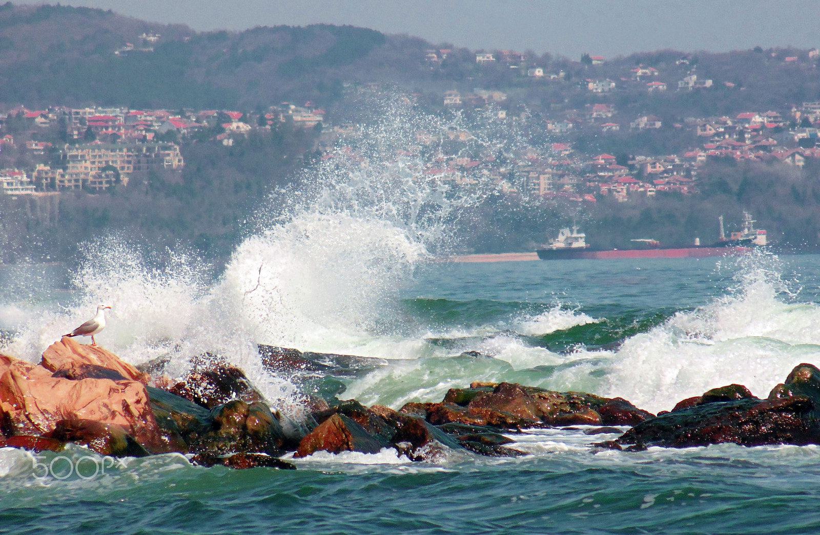 Sony Cyber-shot DSC-H200 sample photo. Wavebreak photography