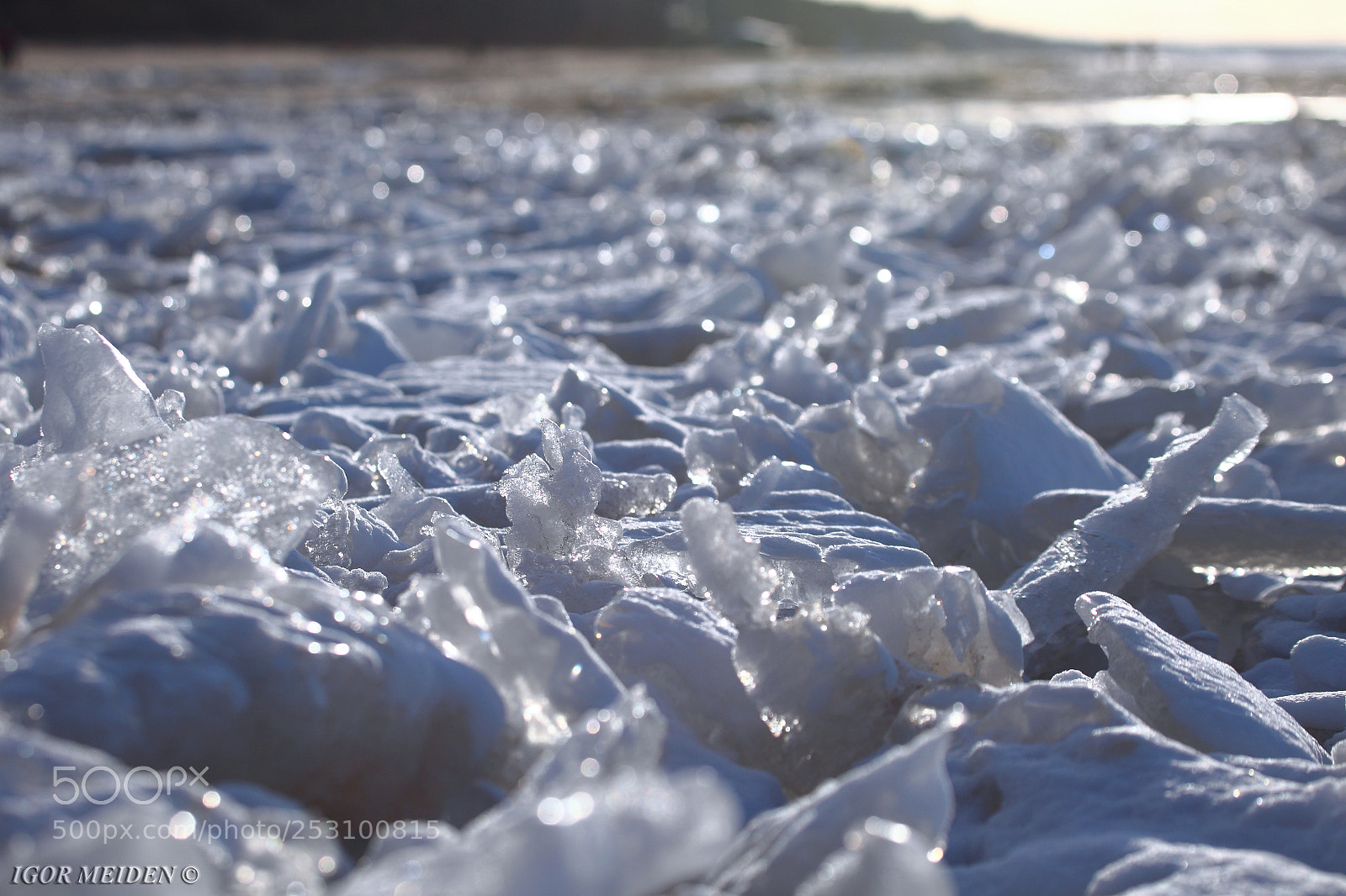 Canon EOS 5D Mark II sample photo. Icebergs of the baltic photography