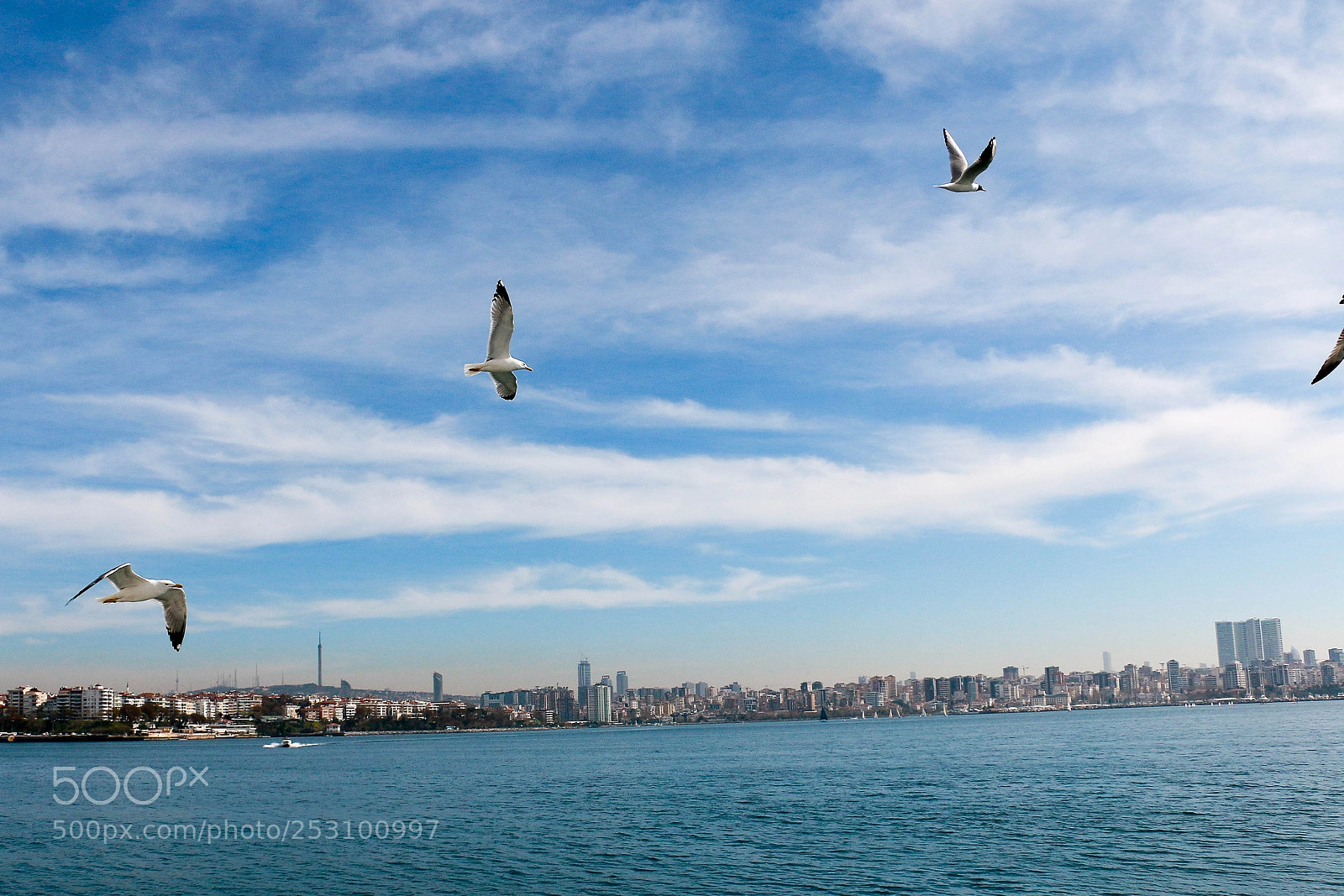 Canon EOS 70D sample photo. Martilar photography