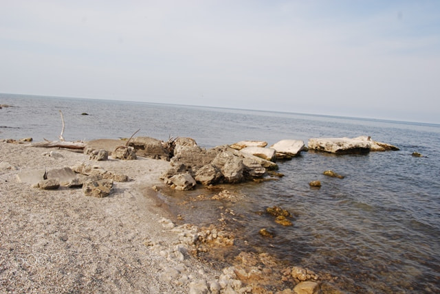 Nikon D80 sample photo. Reaching photography