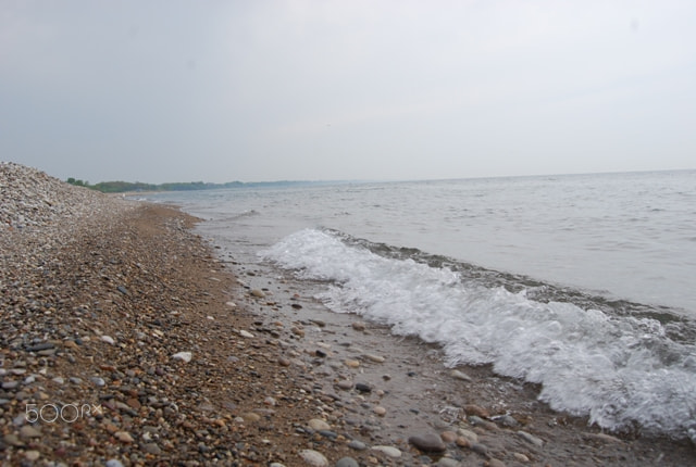 Nikon D80 sample photo. The future photography