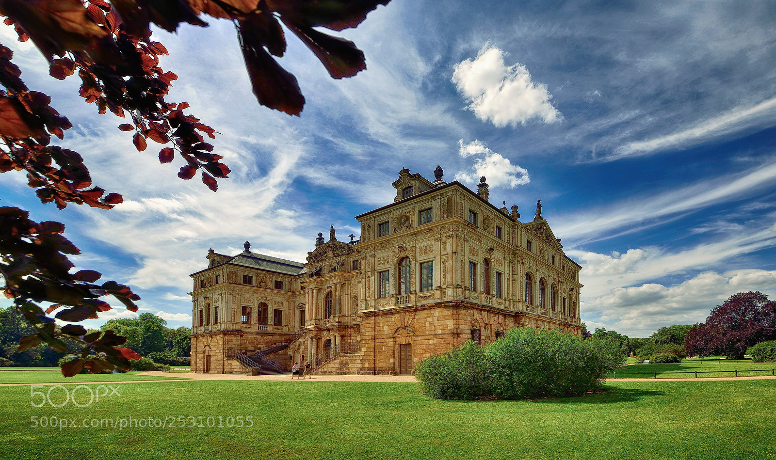 Nikon D800E sample photo. The palais photography