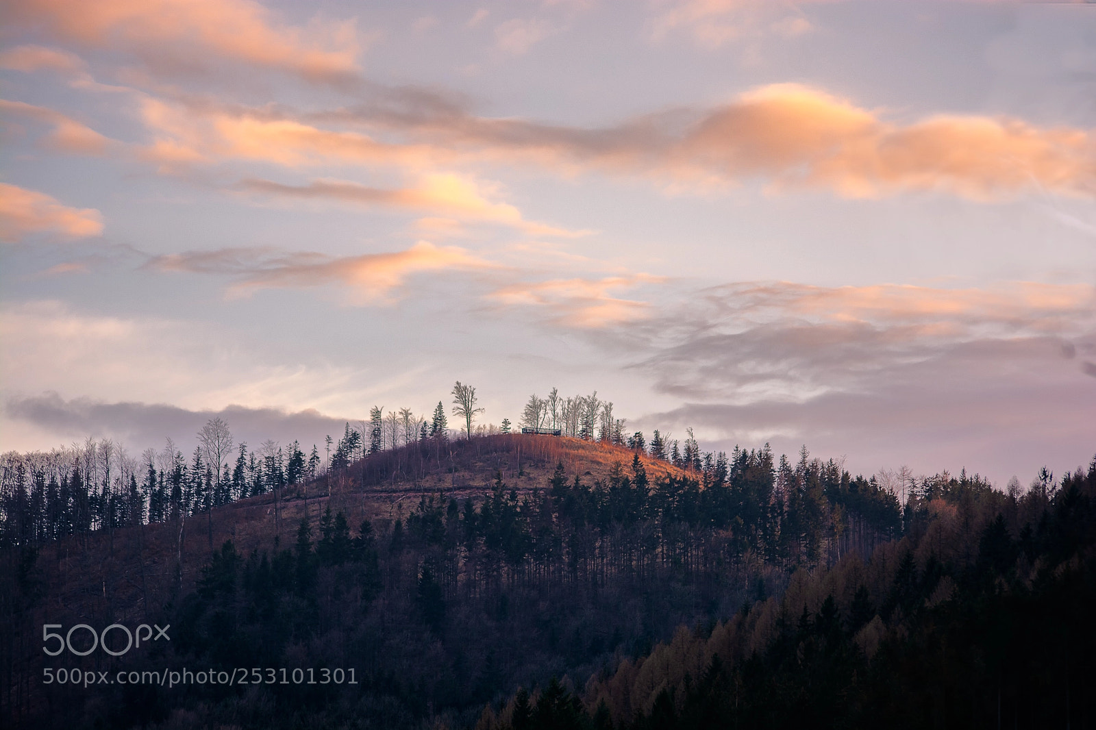 Nikon D7100 sample photo. Sunset jalowiec (jedlina-zdroj) photography