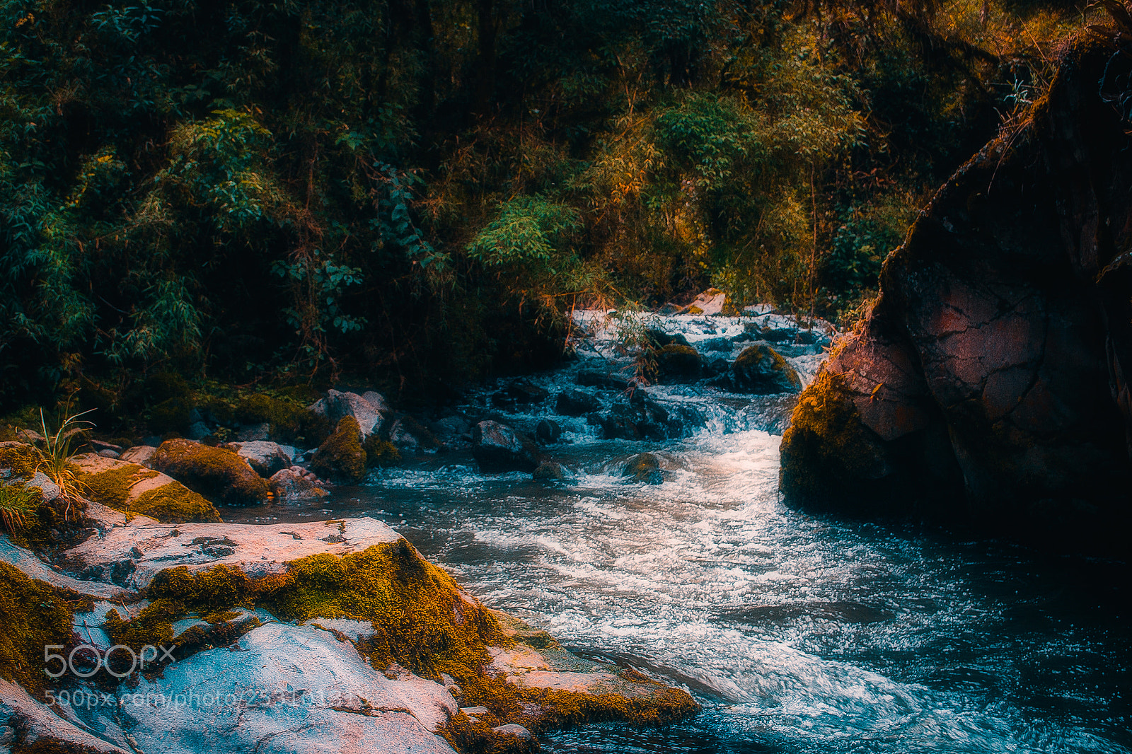 Nikon D3100 sample photo. Pita river photography