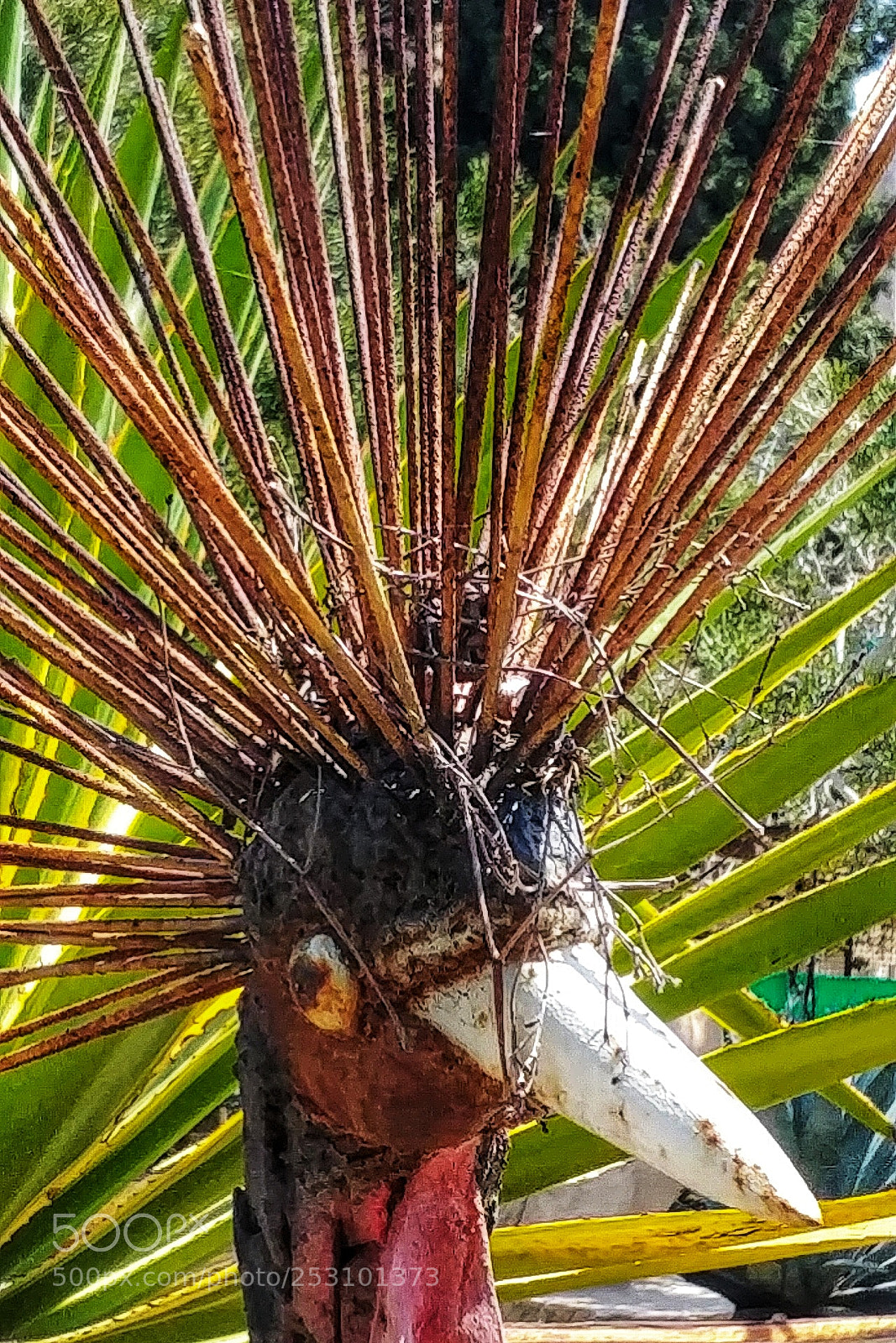 LG G6 sample photo. What strange here? photography