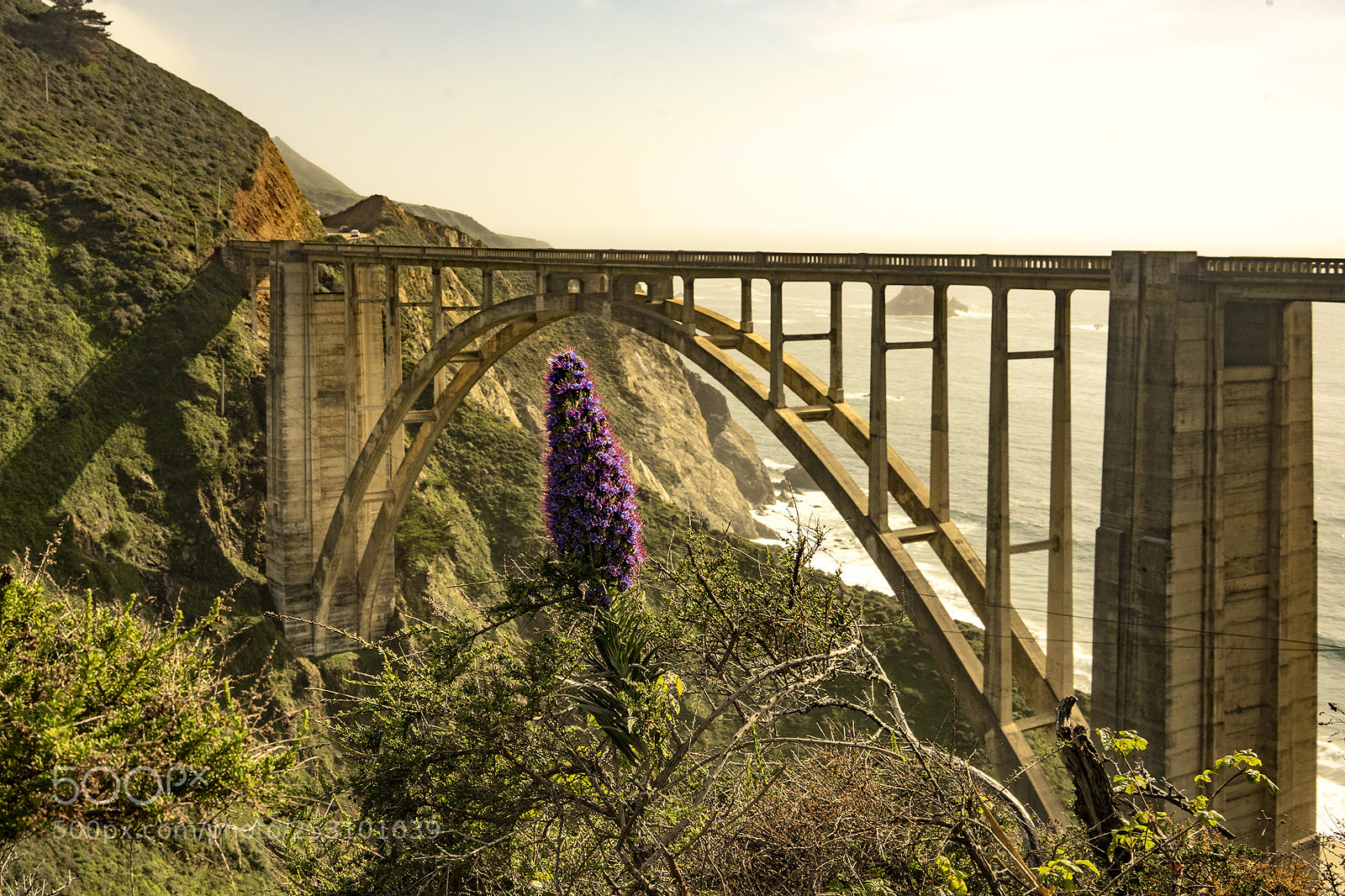 Sony a7 sample photo. Bridge of grace photography