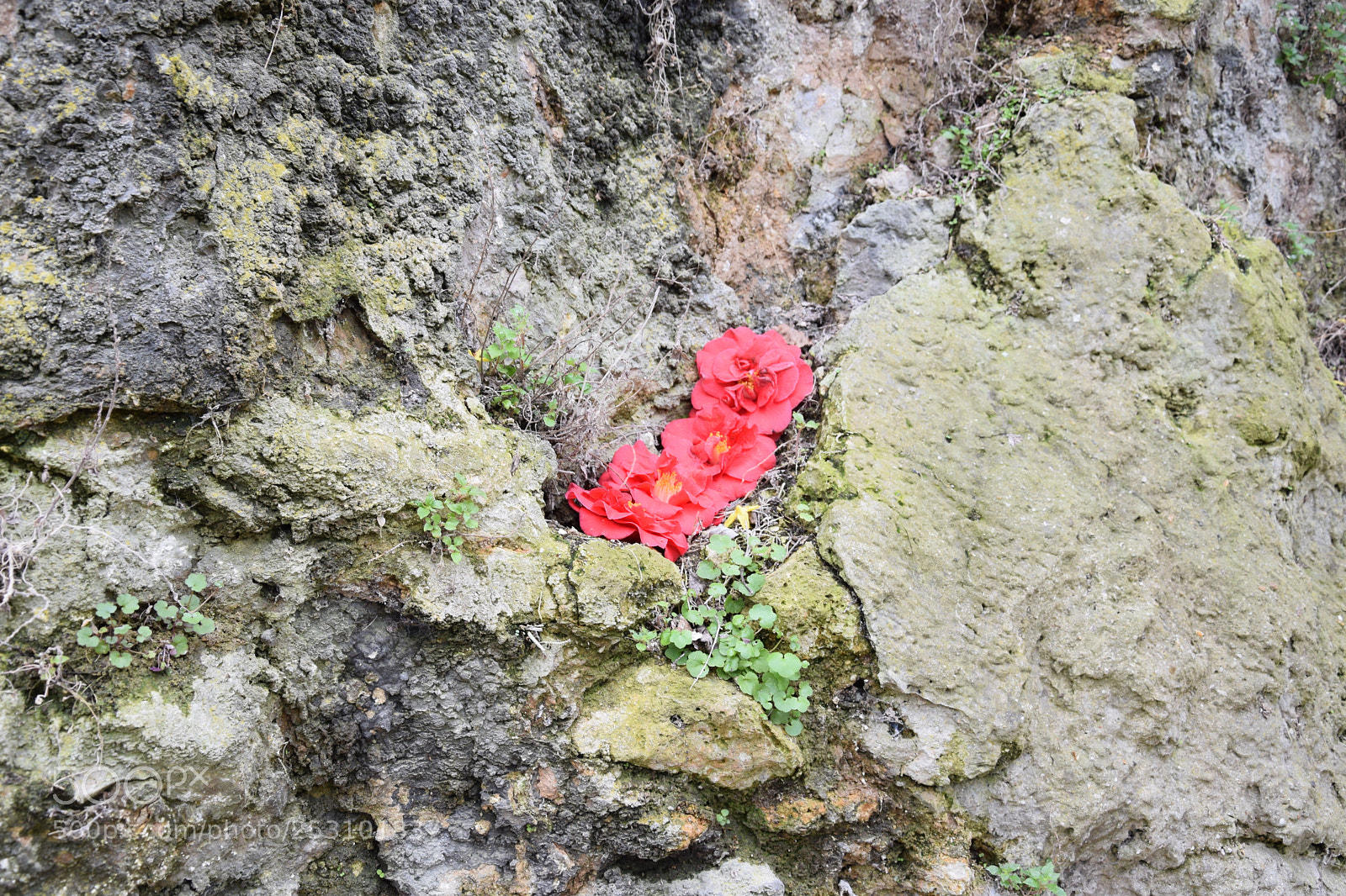 Nikon D3300 sample photo. Untitled photography