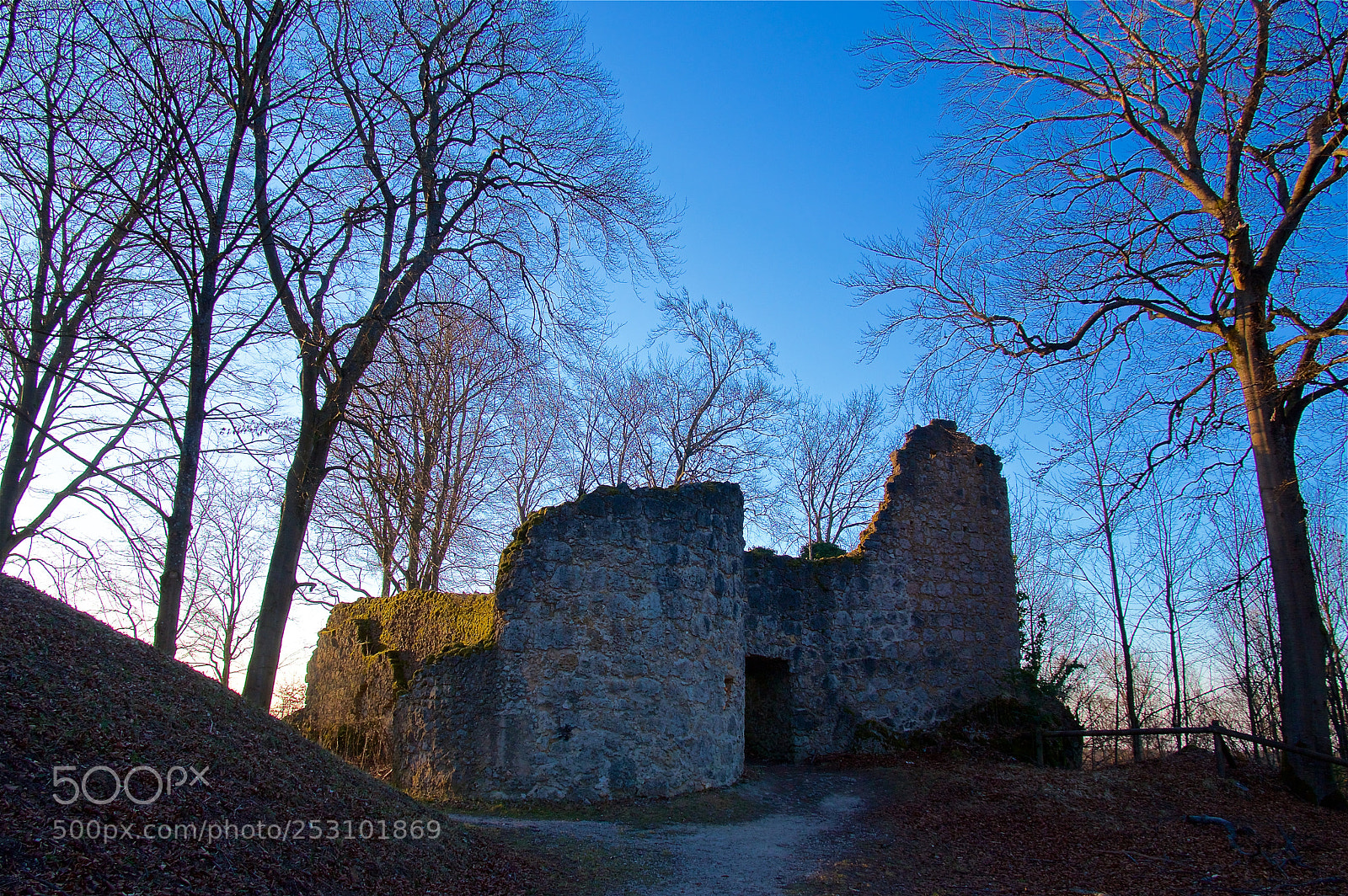 Pentax K-3 II sample photo. Burgruine leienfels photography