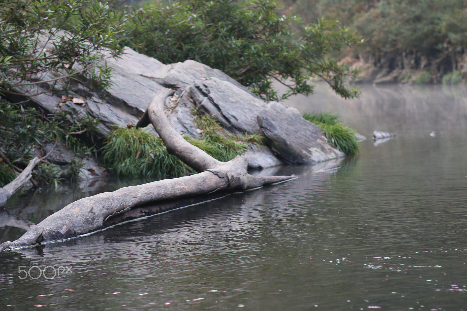 Canon EOS 70D + Canon EF 85mm F1.8 USM sample photo. Stream photography