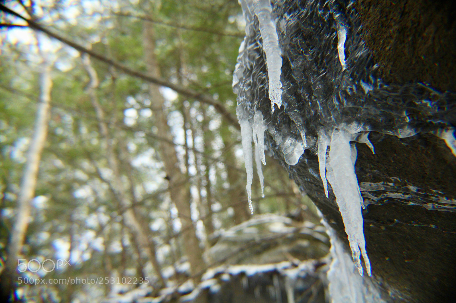 Canon EOS 1300D (EOS Rebel T6 / EOS Kiss X80) sample photo. Frozen water. photography