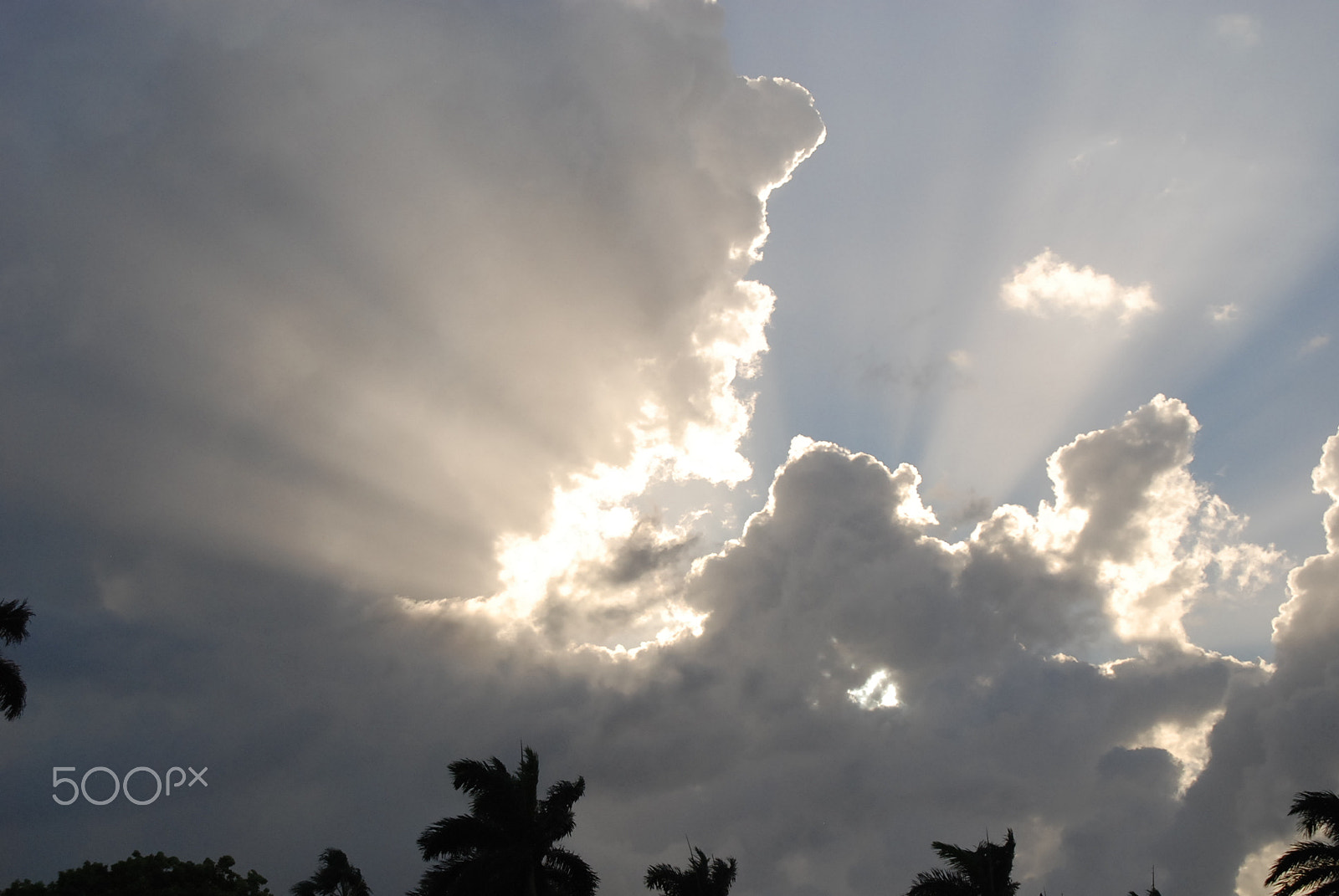 Nikon D80 sample photo. Heaven reaching photography