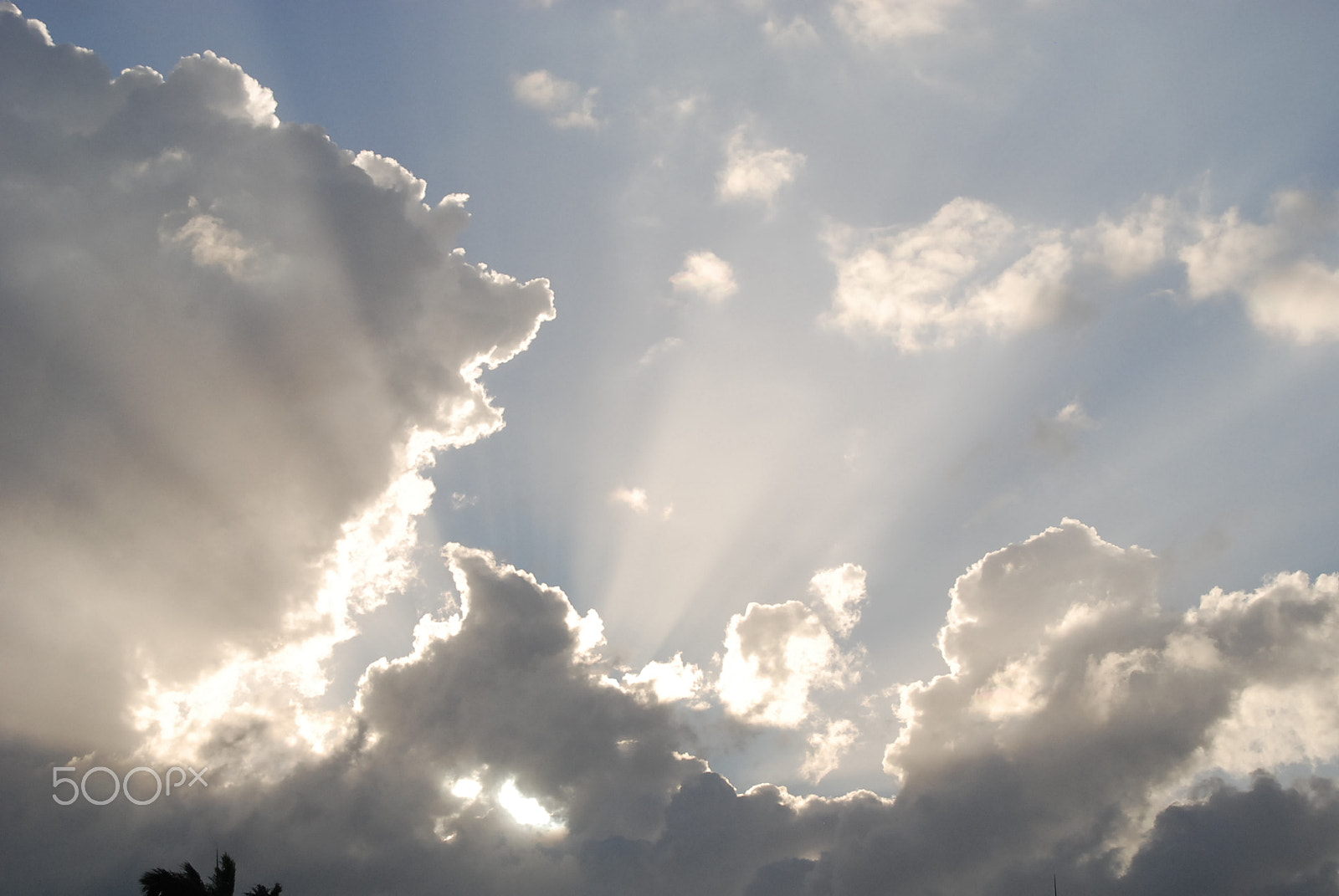 Nikon D80 sample photo. The promise photography