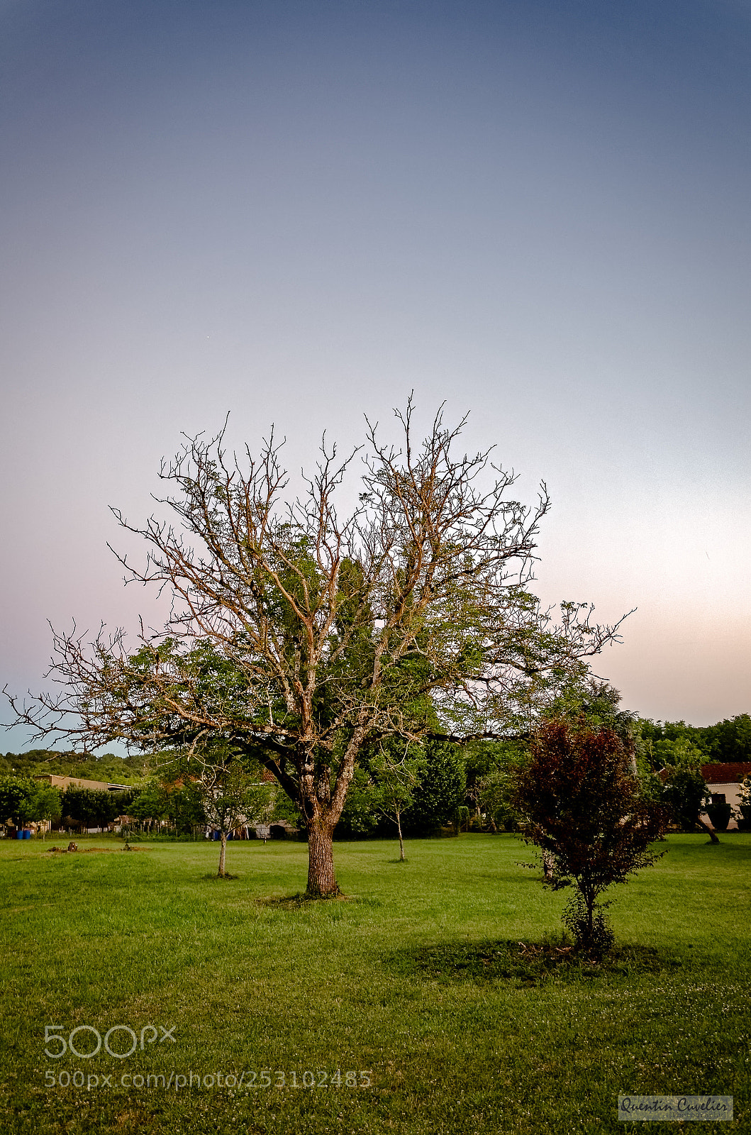 Nikon D7000 sample photo. Sainte-eulalie-d'ans - dordogne photography