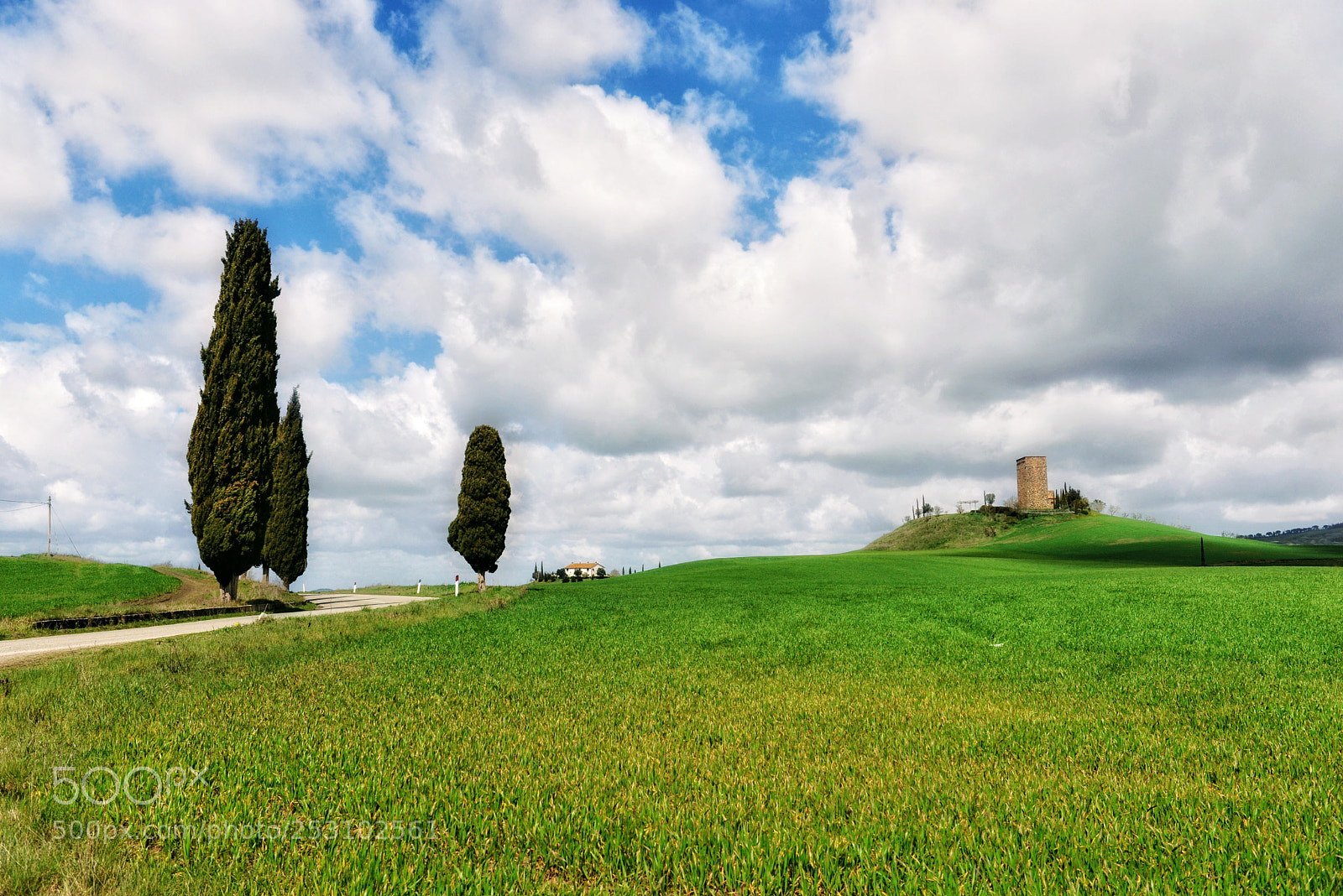 Nikon D610 sample photo. La strada del vino photography