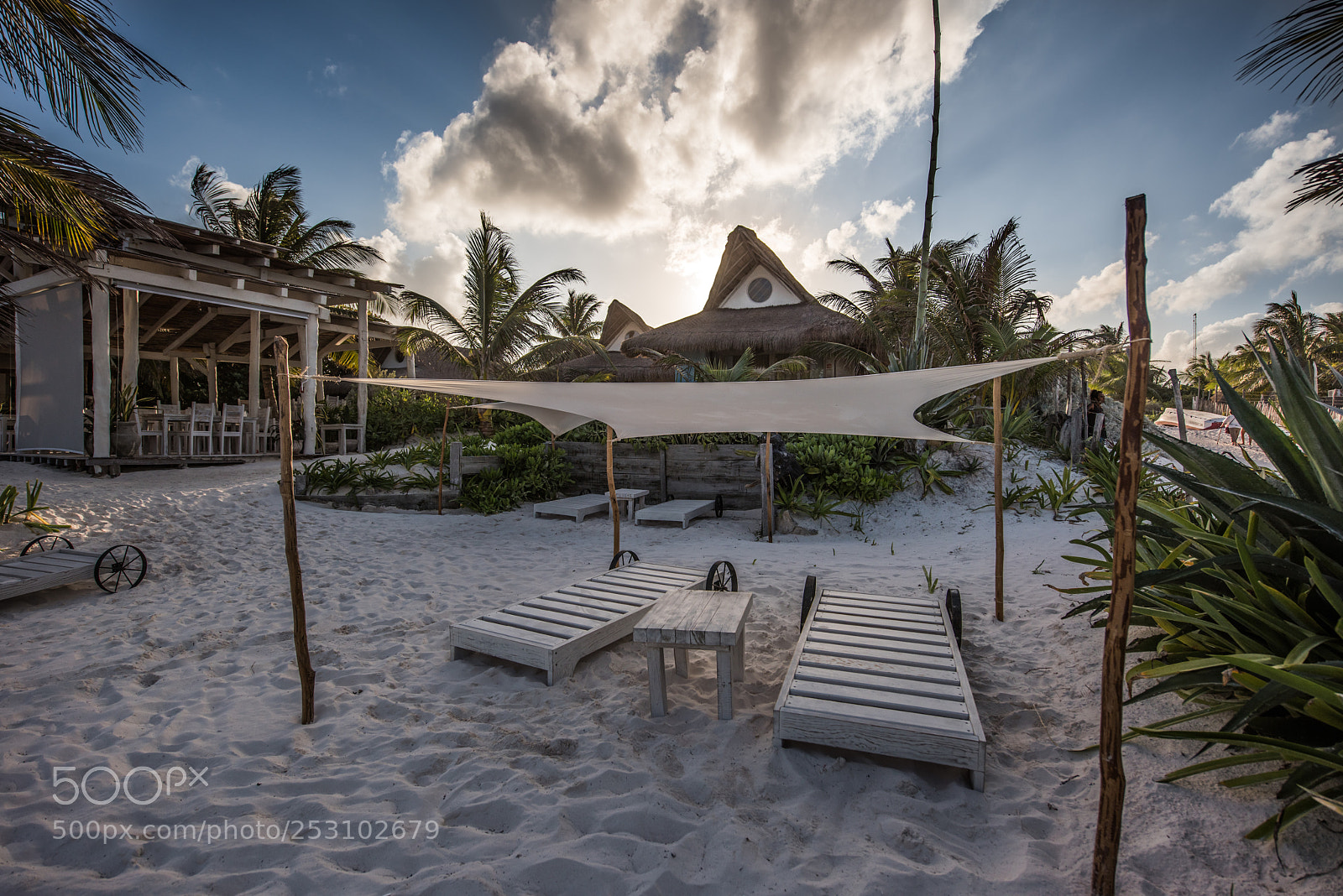 Nikon D810 sample photo. Charming sunset photography