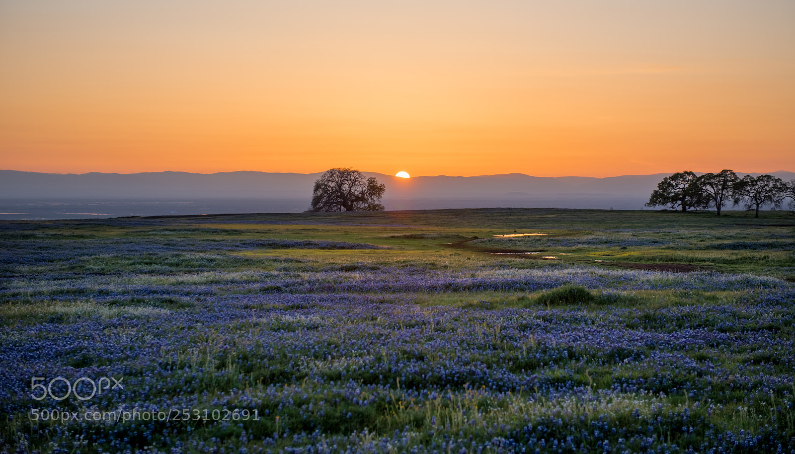 Nikon D810 sample photo. Sunset in north table photography