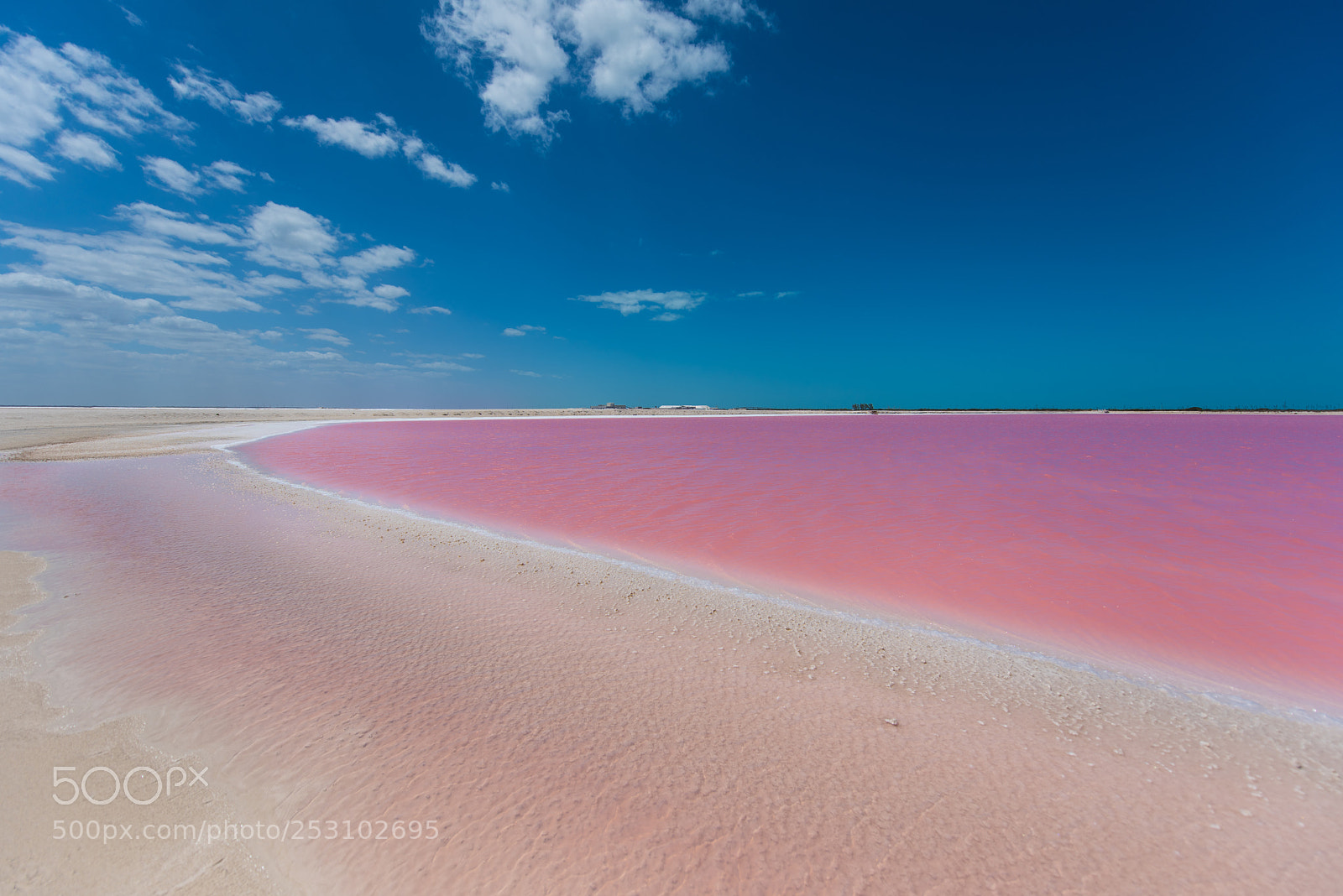 Nikon D810 sample photo. Pink lake photography