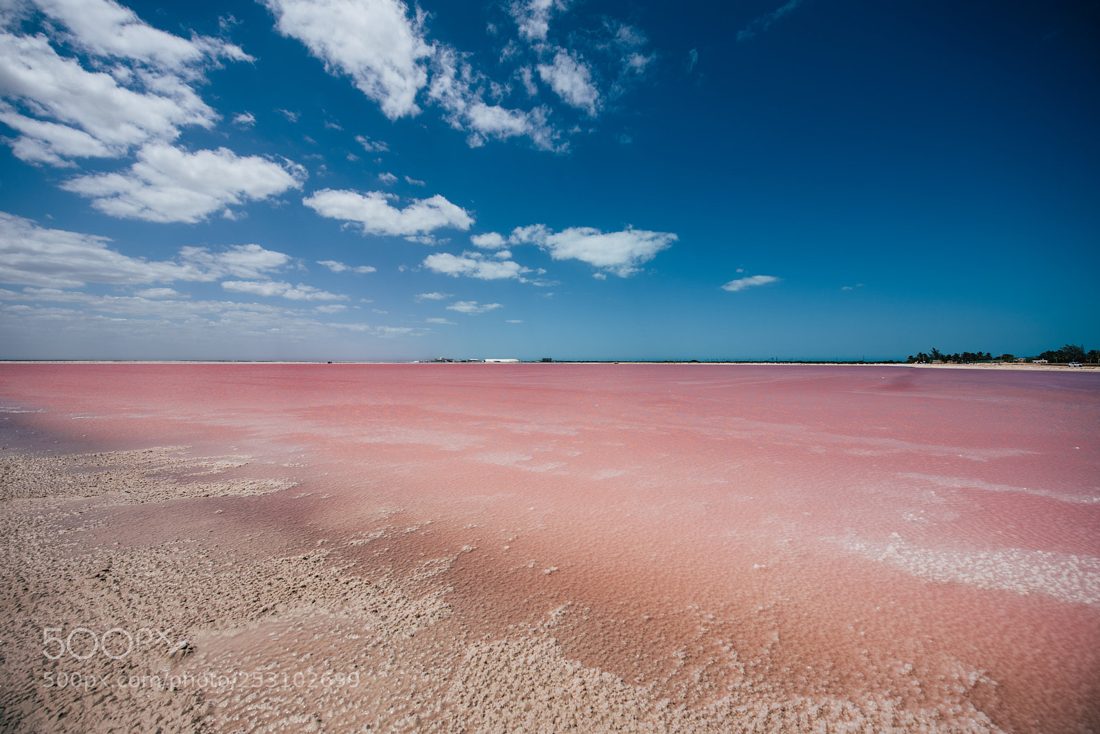 Nikon D810 sample photo. Pink lake photography