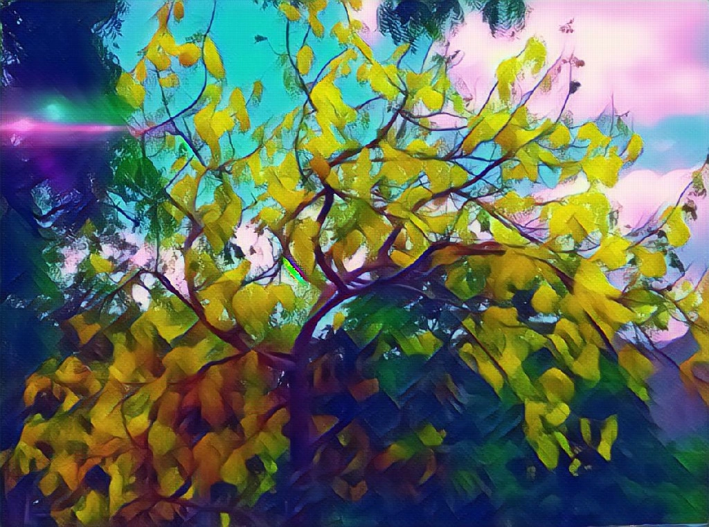 QCOM-AA QCAM-AA sample photo