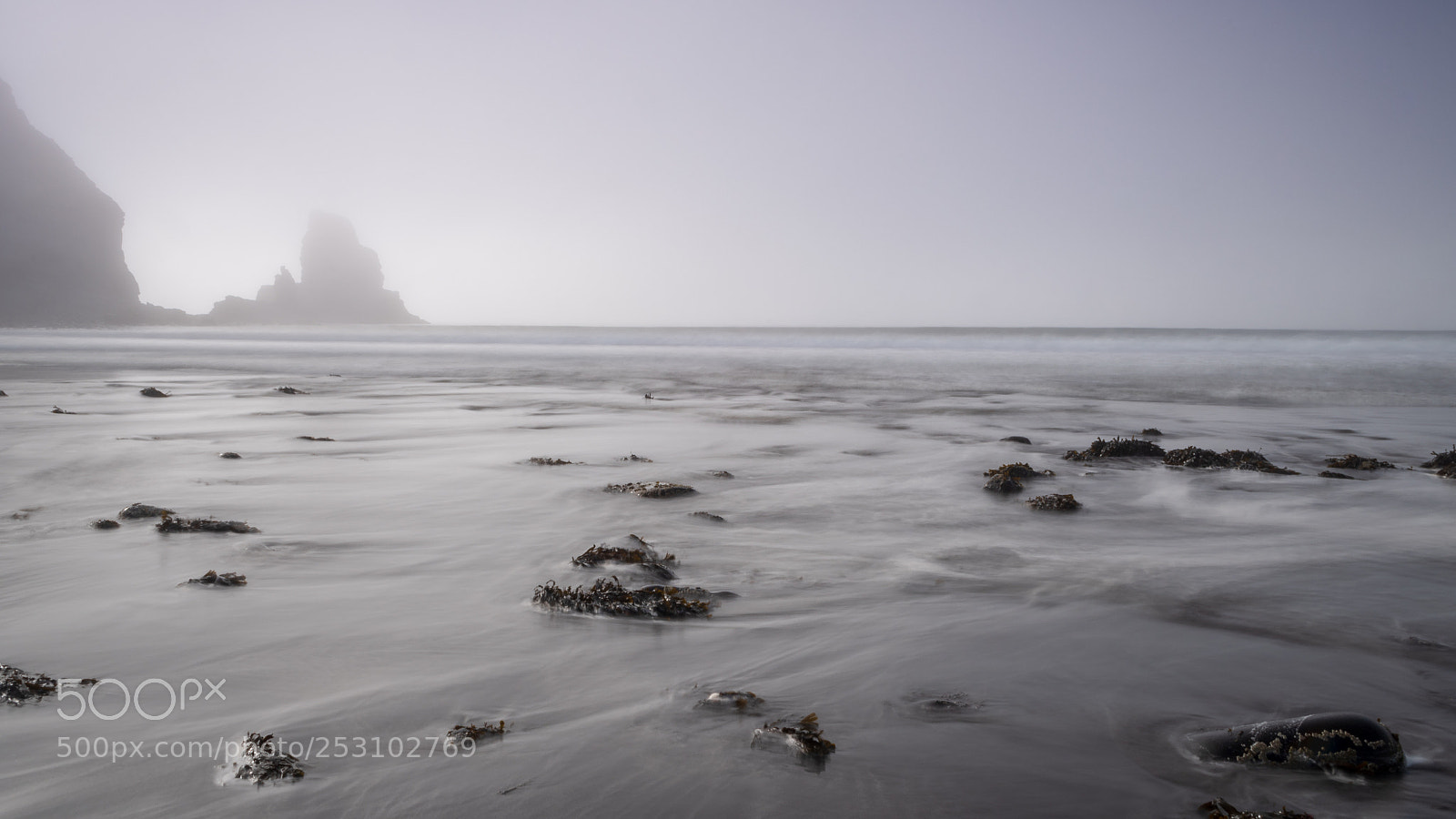 Nikon D500 sample photo. Talisker in the mist photography