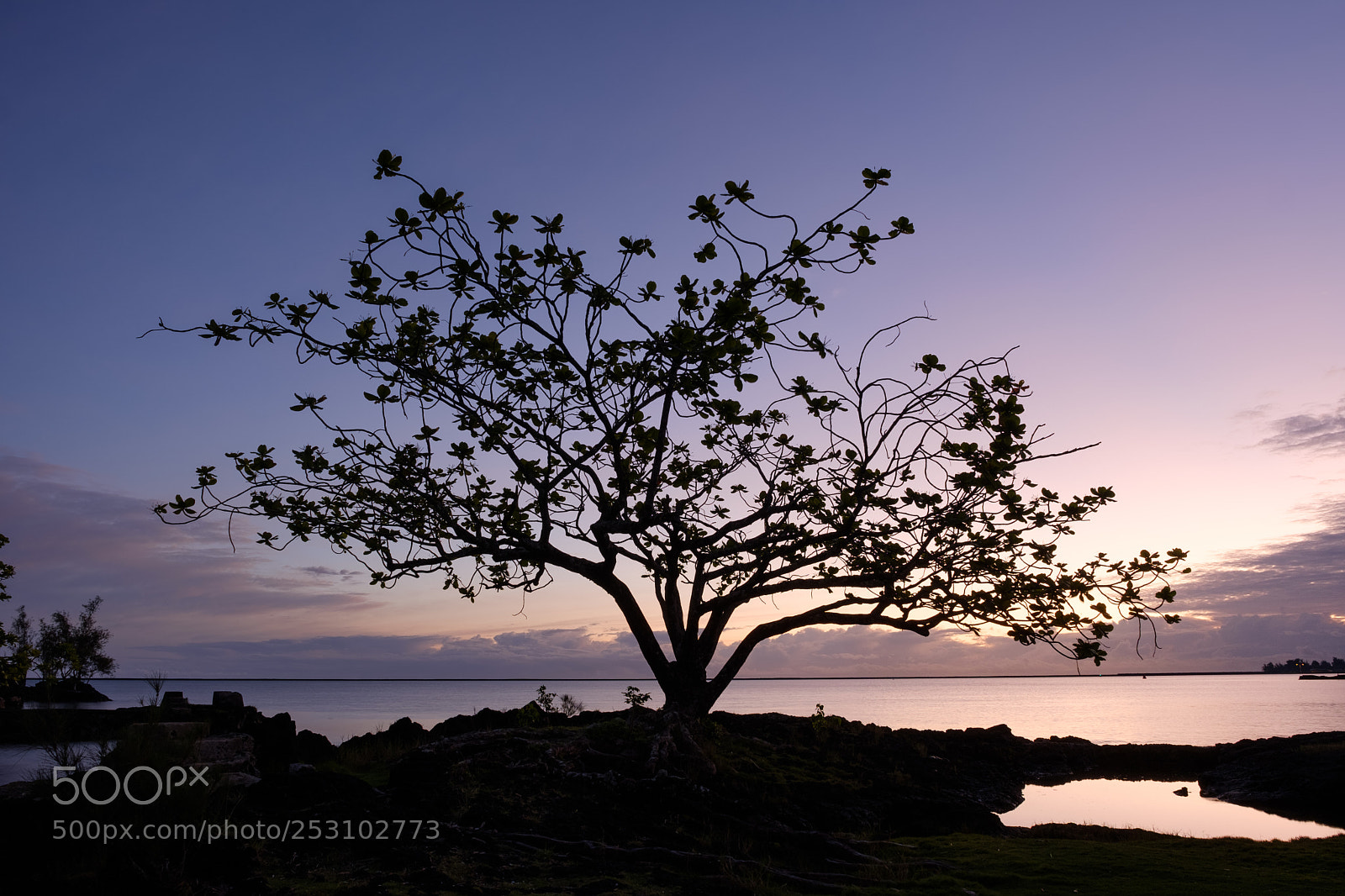 Fujifilm X-H1 sample photo. Before sunrise on coconut photography