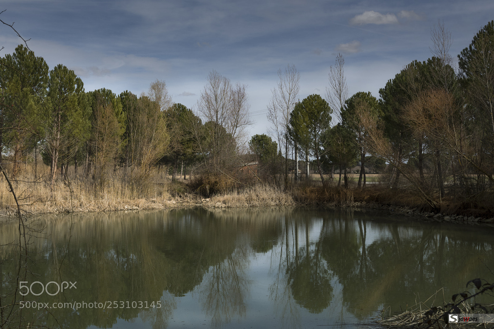 Nikon D7200 sample photo. Reflejo en la laguna photography