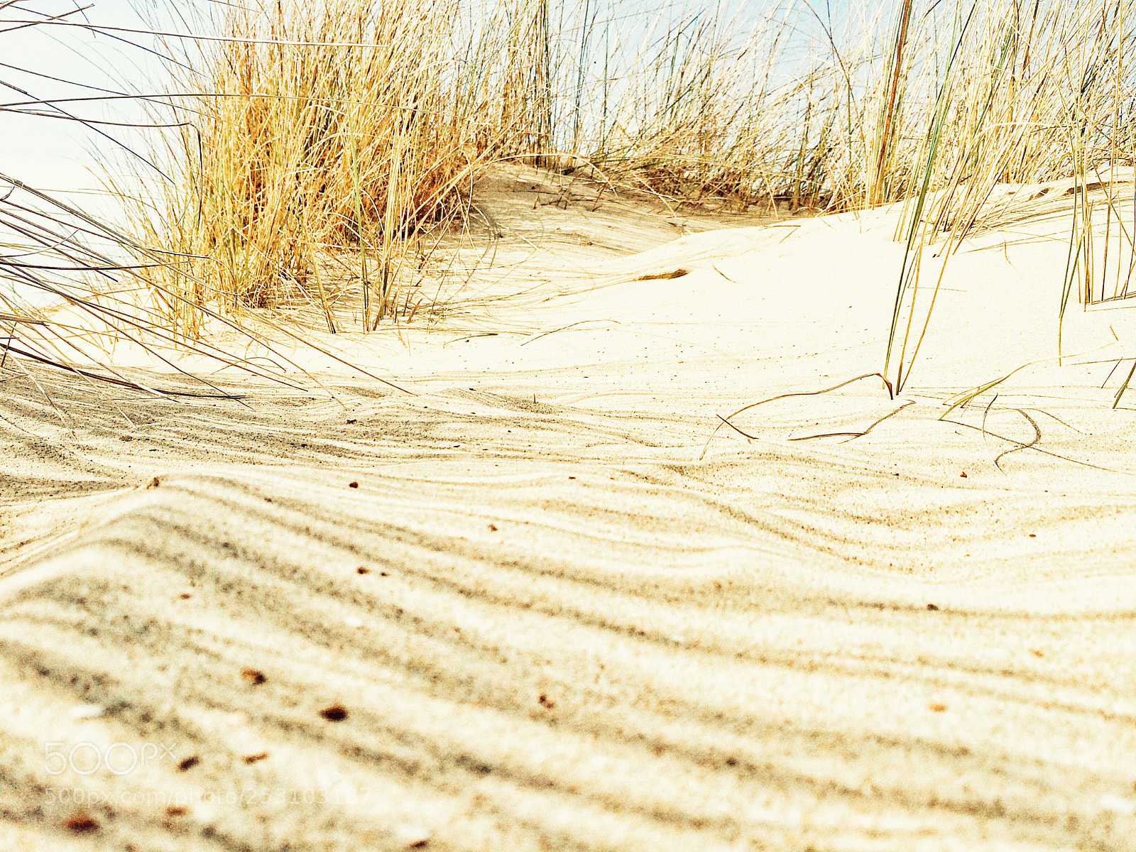 Apple iPhone 5s sample photo. Dunes photography