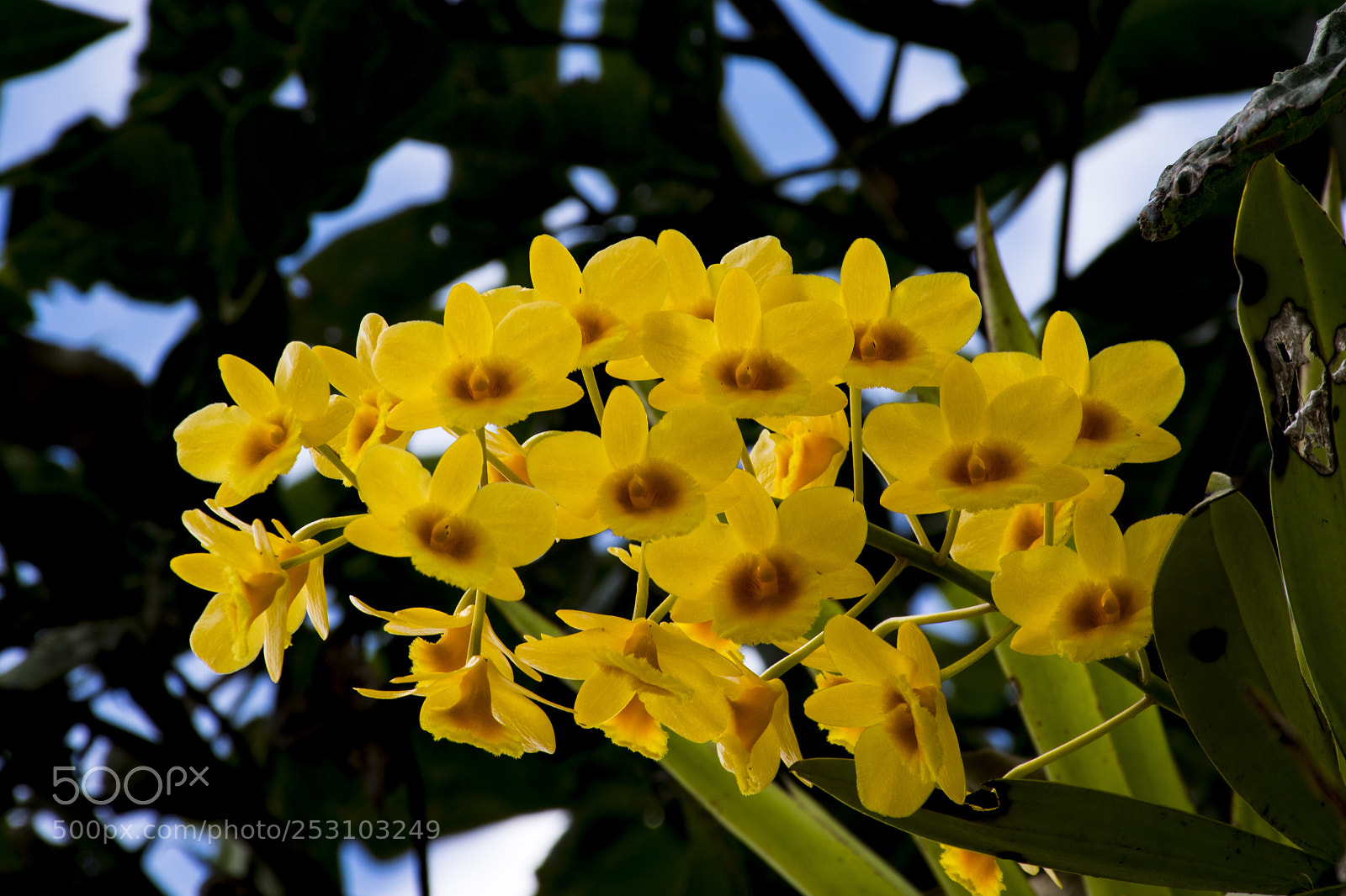 Nikon D3400 sample photo. Untitled photography
