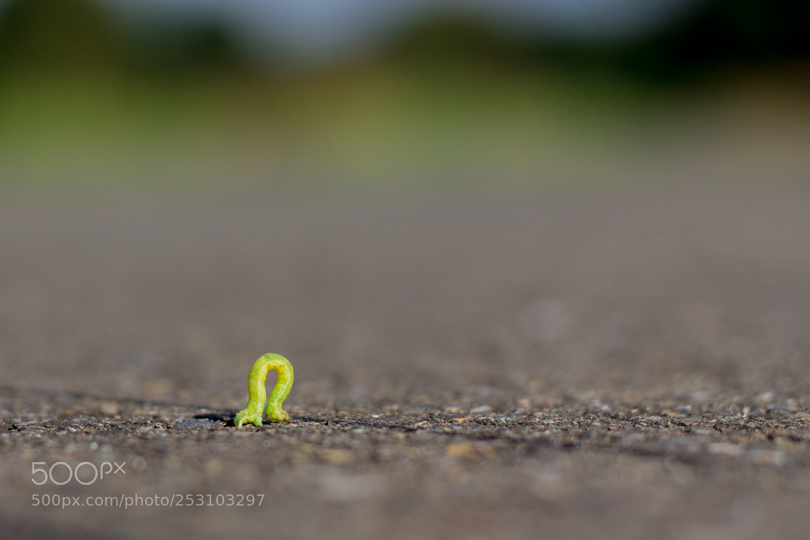 Canon EOS 60D sample photo. On the road photography
