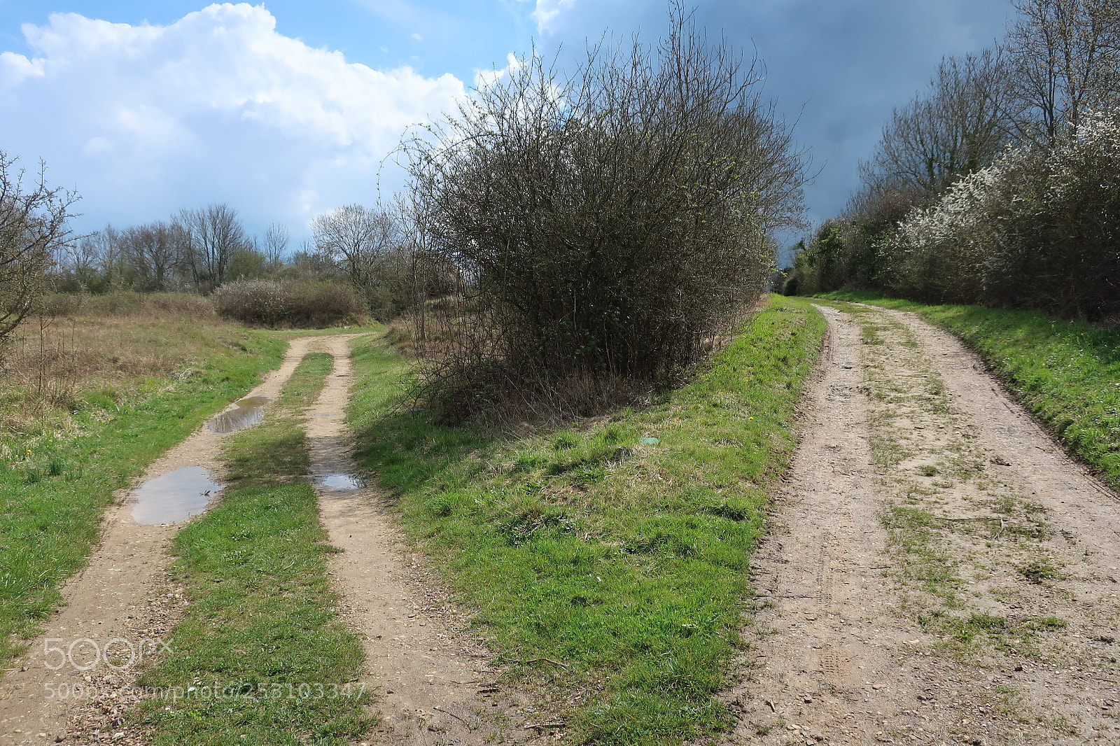 Canon PowerShot G9 X Mark II sample photo. The dilemma. photography
