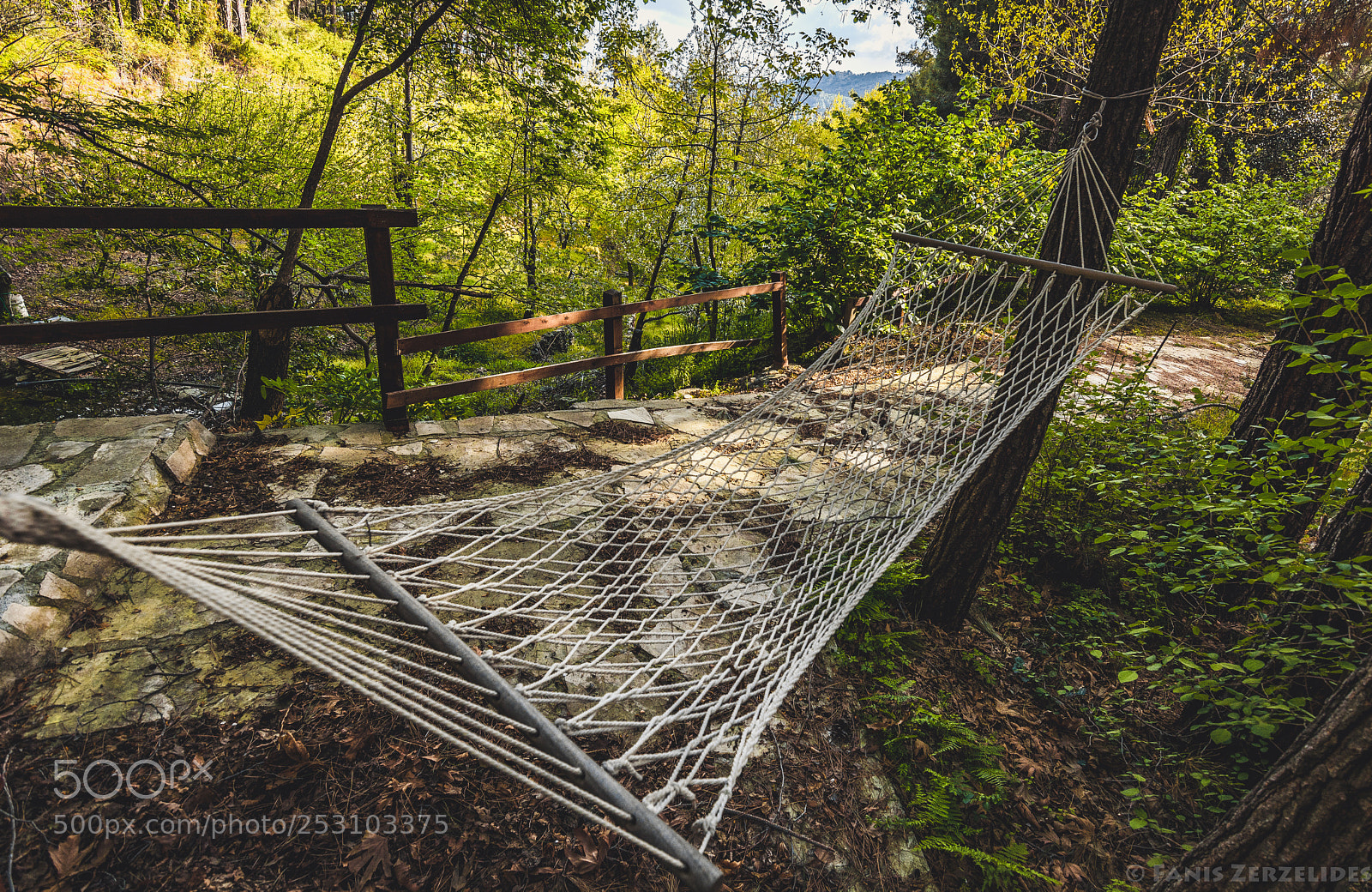 Nikon D5200 sample photo. Hammock in nature photography