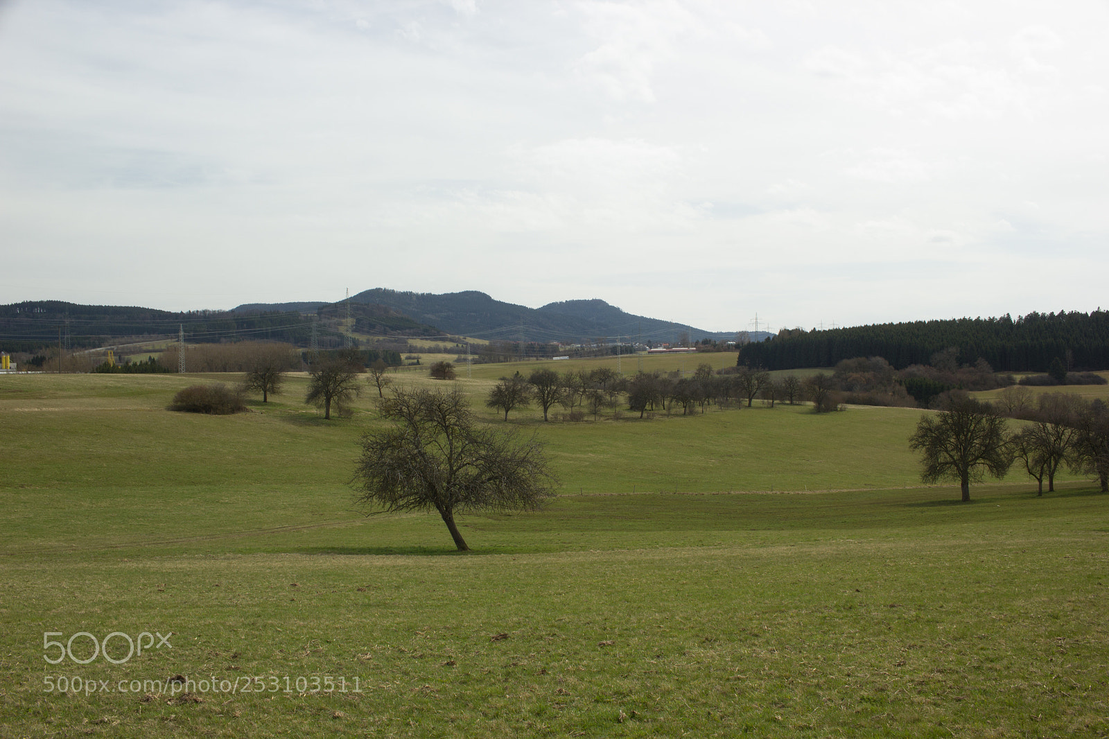 Canon EOS 550D (EOS Rebel T2i / EOS Kiss X4) sample photo. Landscape of field photography