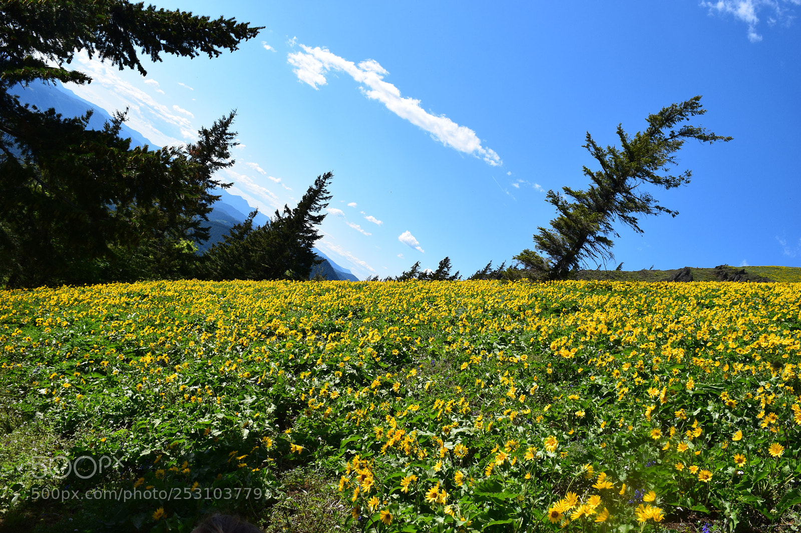 Nikon D3300 sample photo. Naturally occurring abstract landscape photography