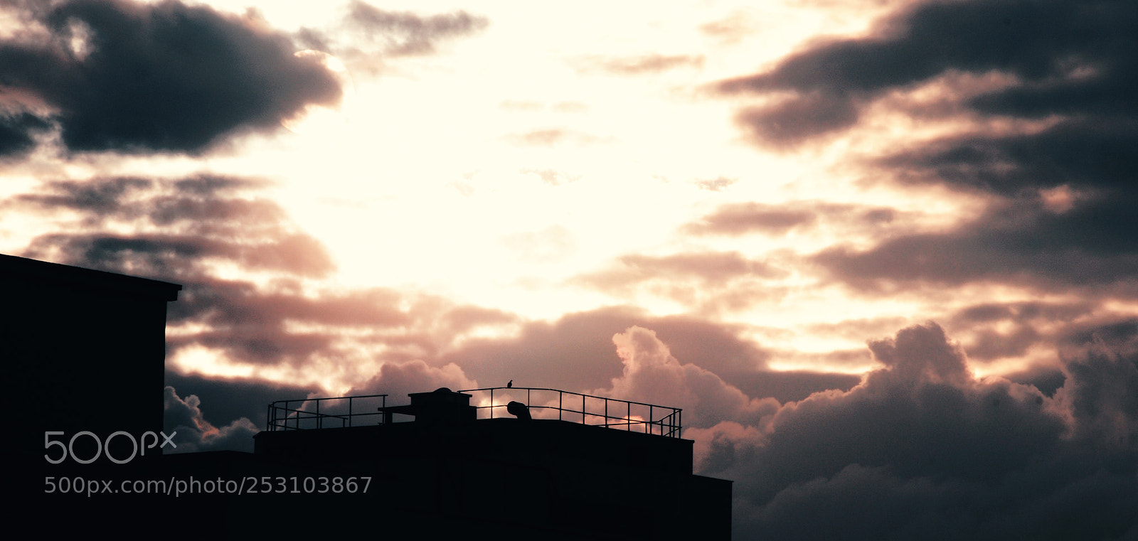Nikon D300 sample photo. Opening photography