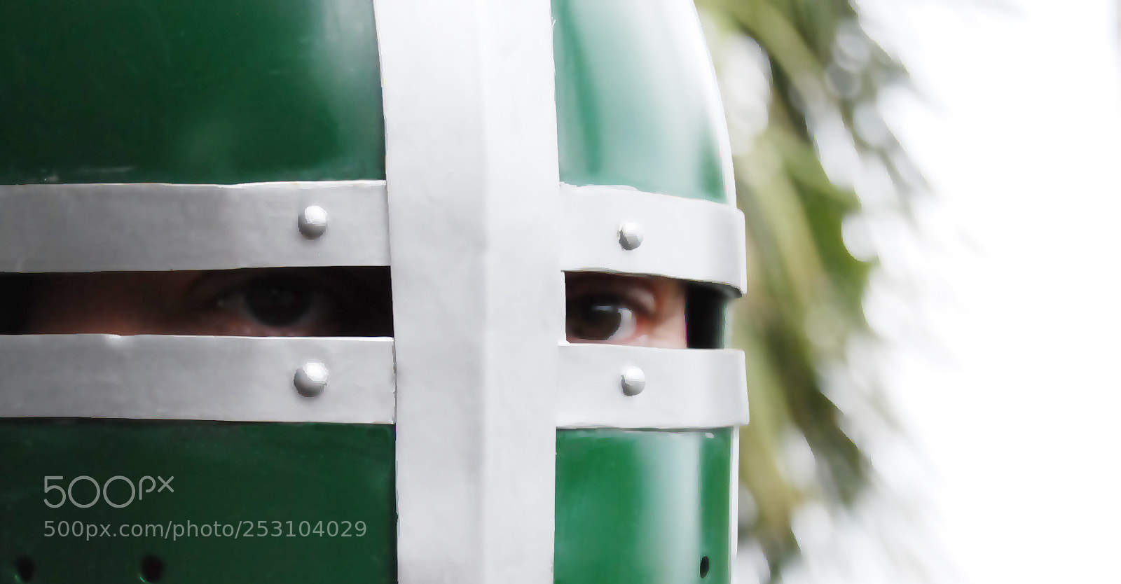 Nikon D80 sample photo. Knight vision photography