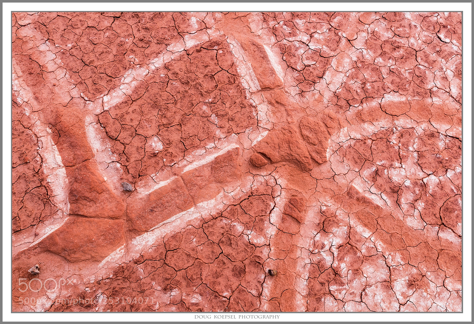 Nikon D810 sample photo. Cracked paths photography