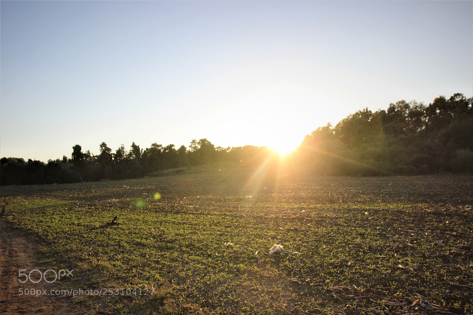Canon EOS 600D (Rebel EOS T3i / EOS Kiss X5) sample photo. Img photography