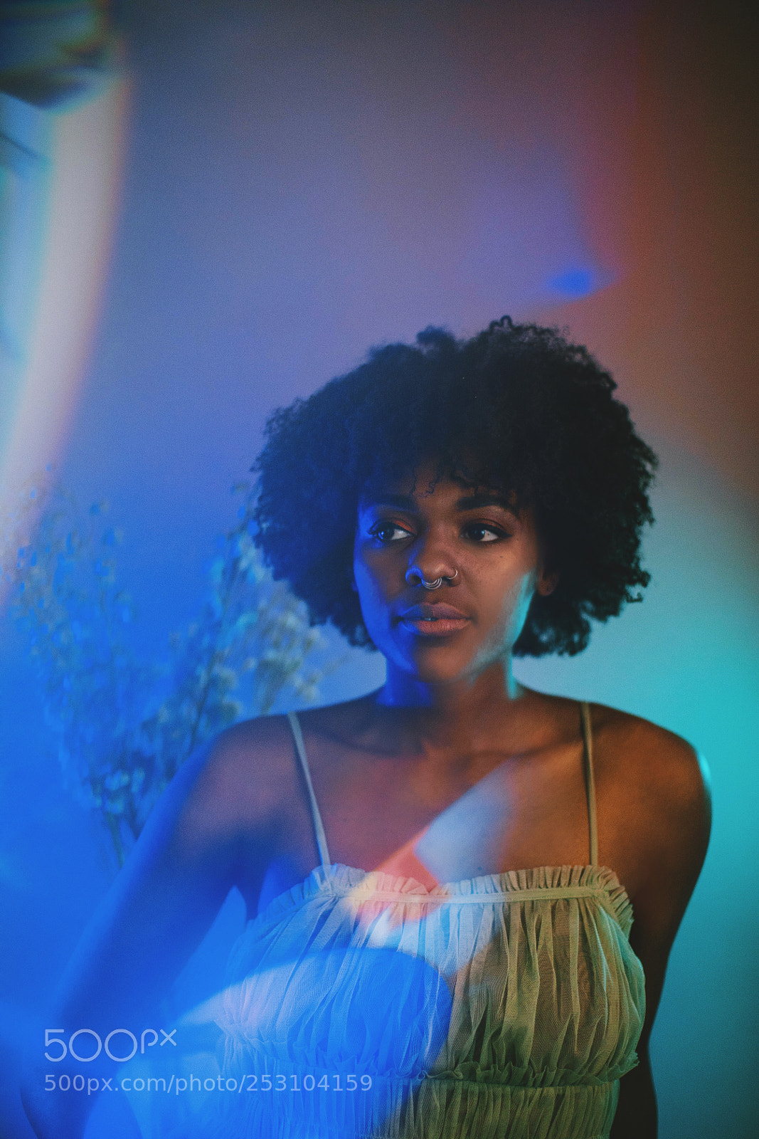 Canon EOS 5D Mark IV sample photo. Lights, flowers, prism photography